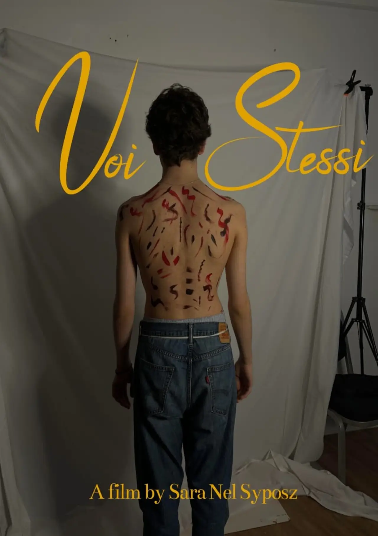 Постер до фільму "Voi Stessi"