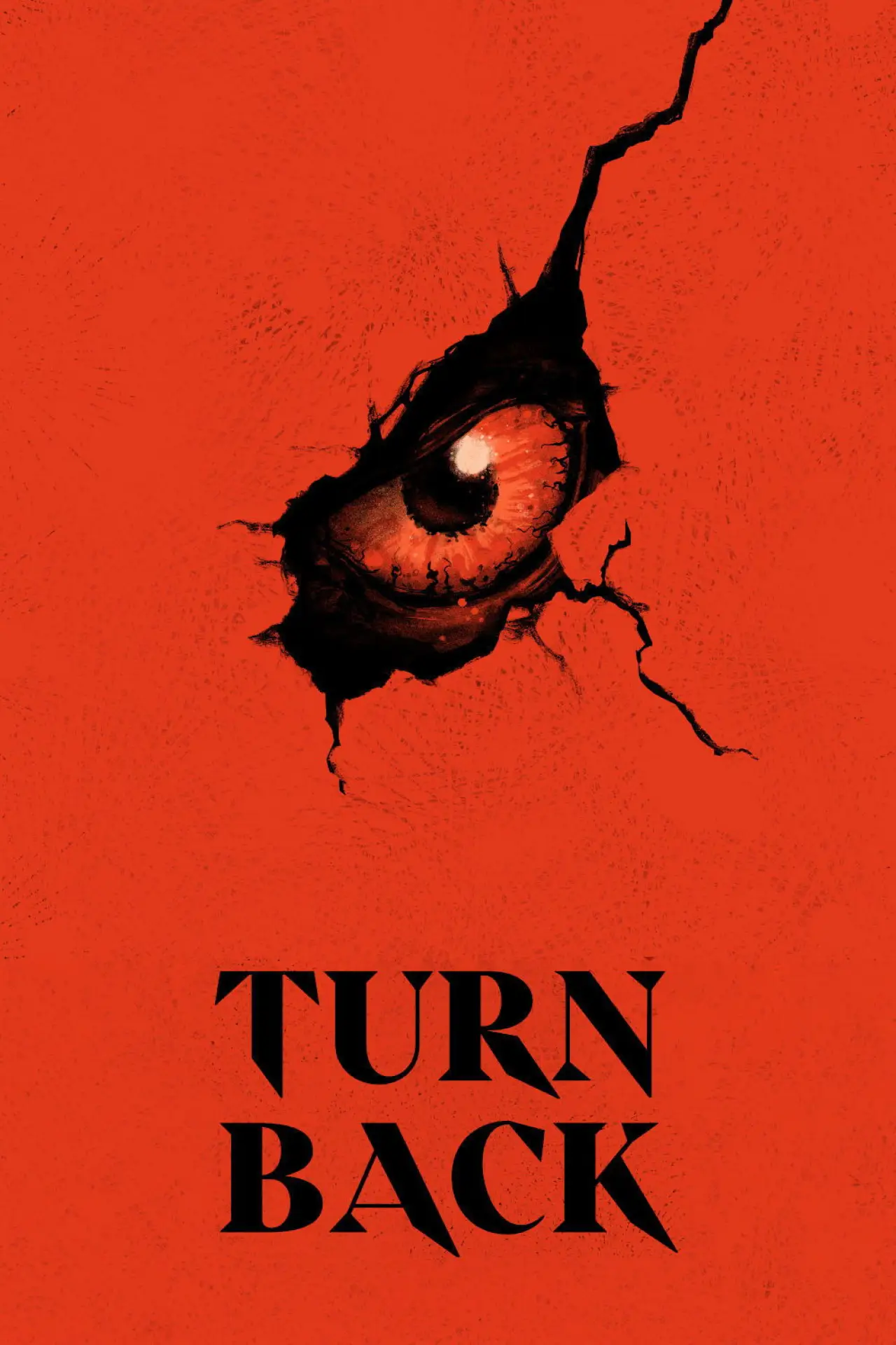 Постер до фільму "Turn Back"