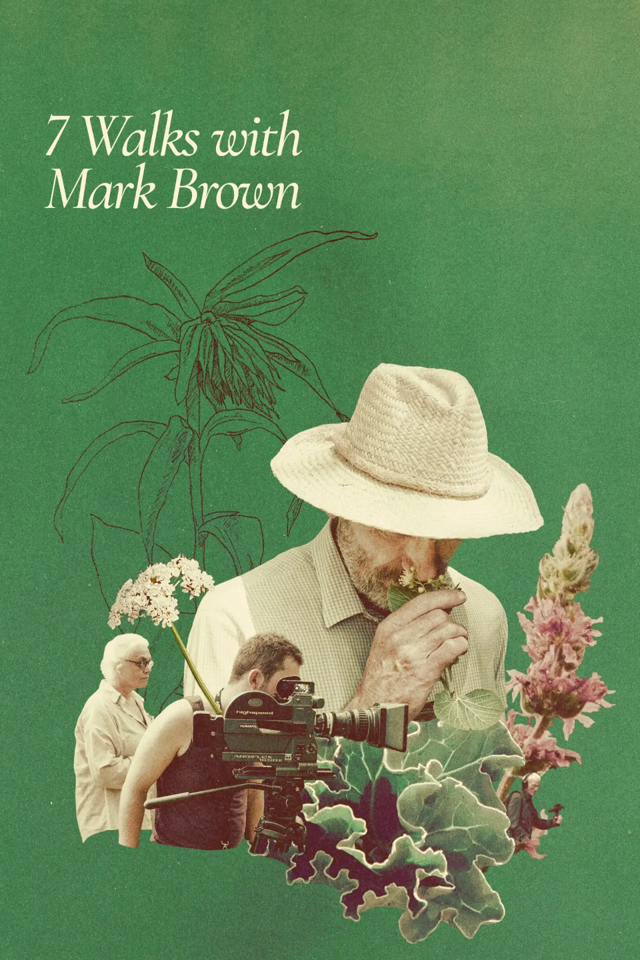 Постер до фільму "Sept promenades avec Mark Brown"