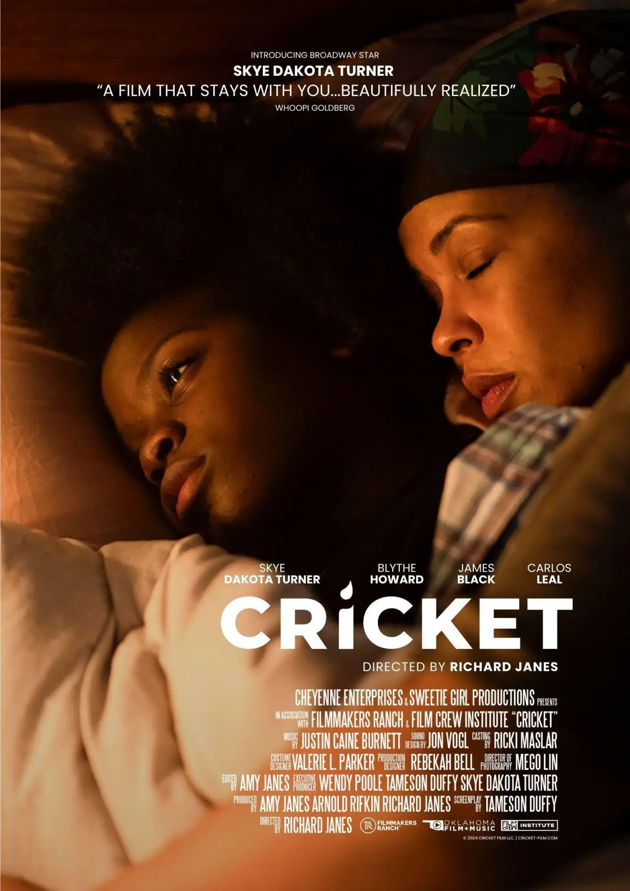 Постер до фільму "Cricket"
