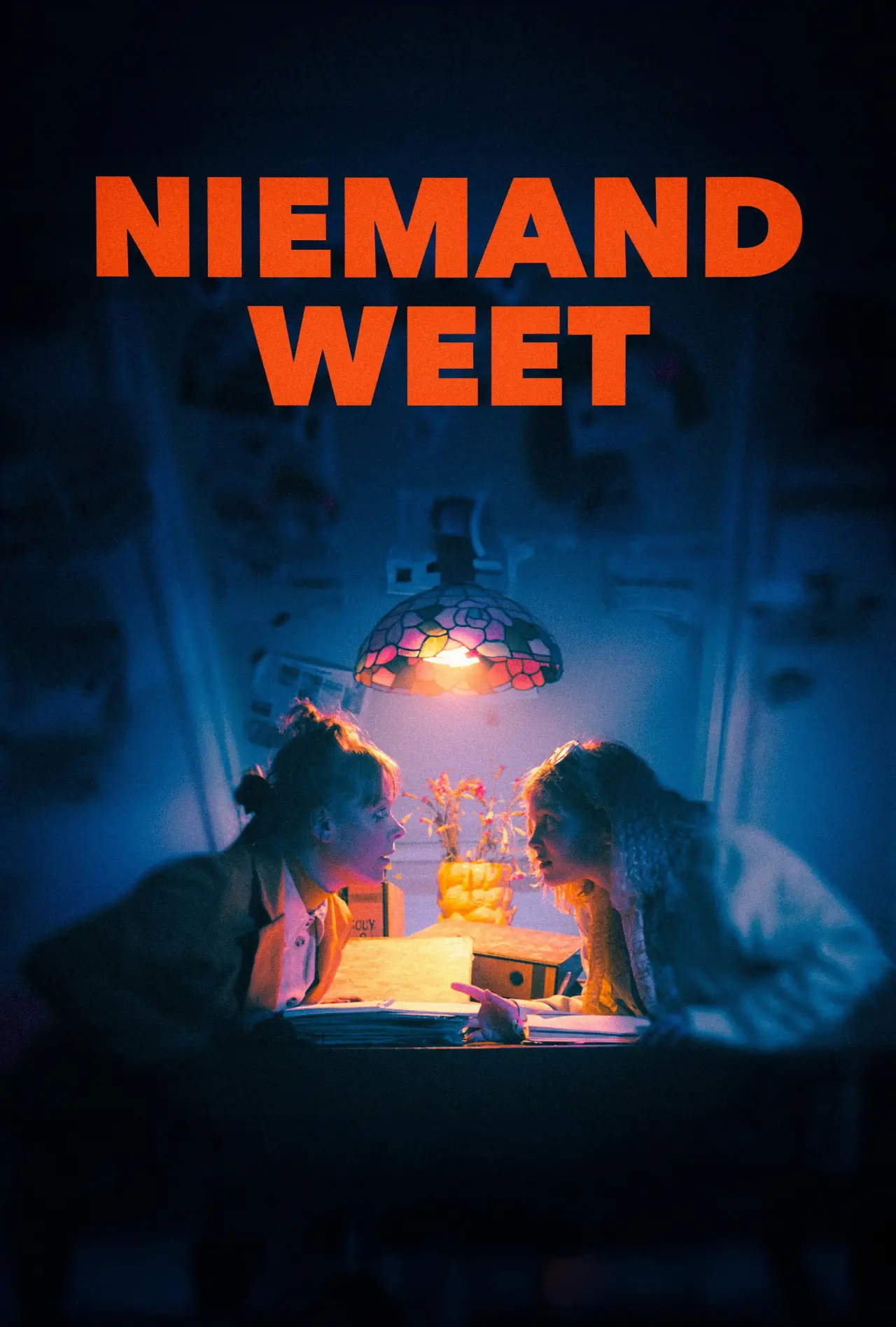 Постер до фільму "Niemand weet"