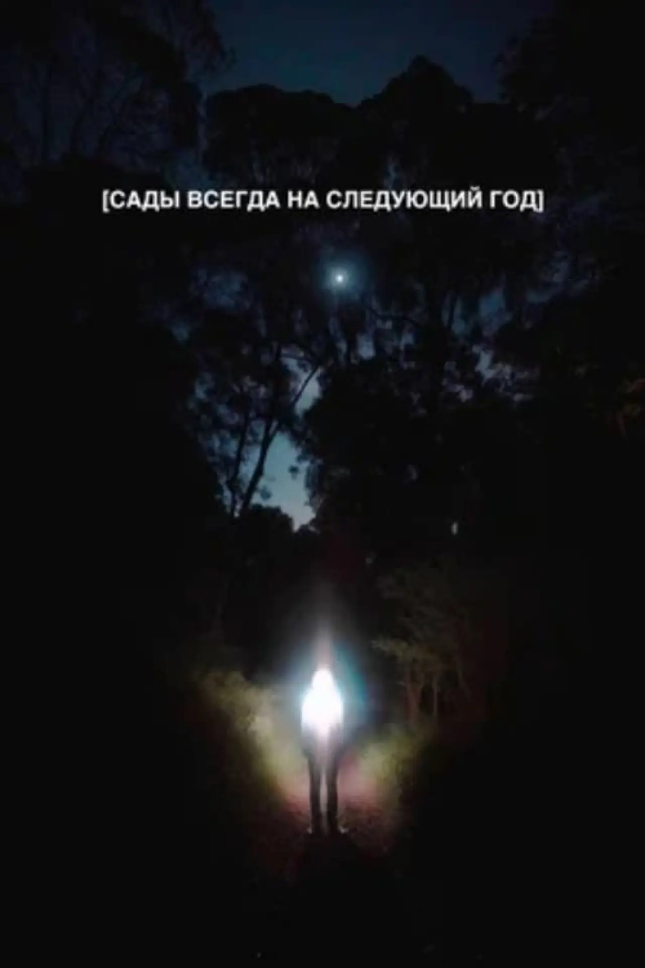 Постер до фільму "Сады всегда на следующий год"