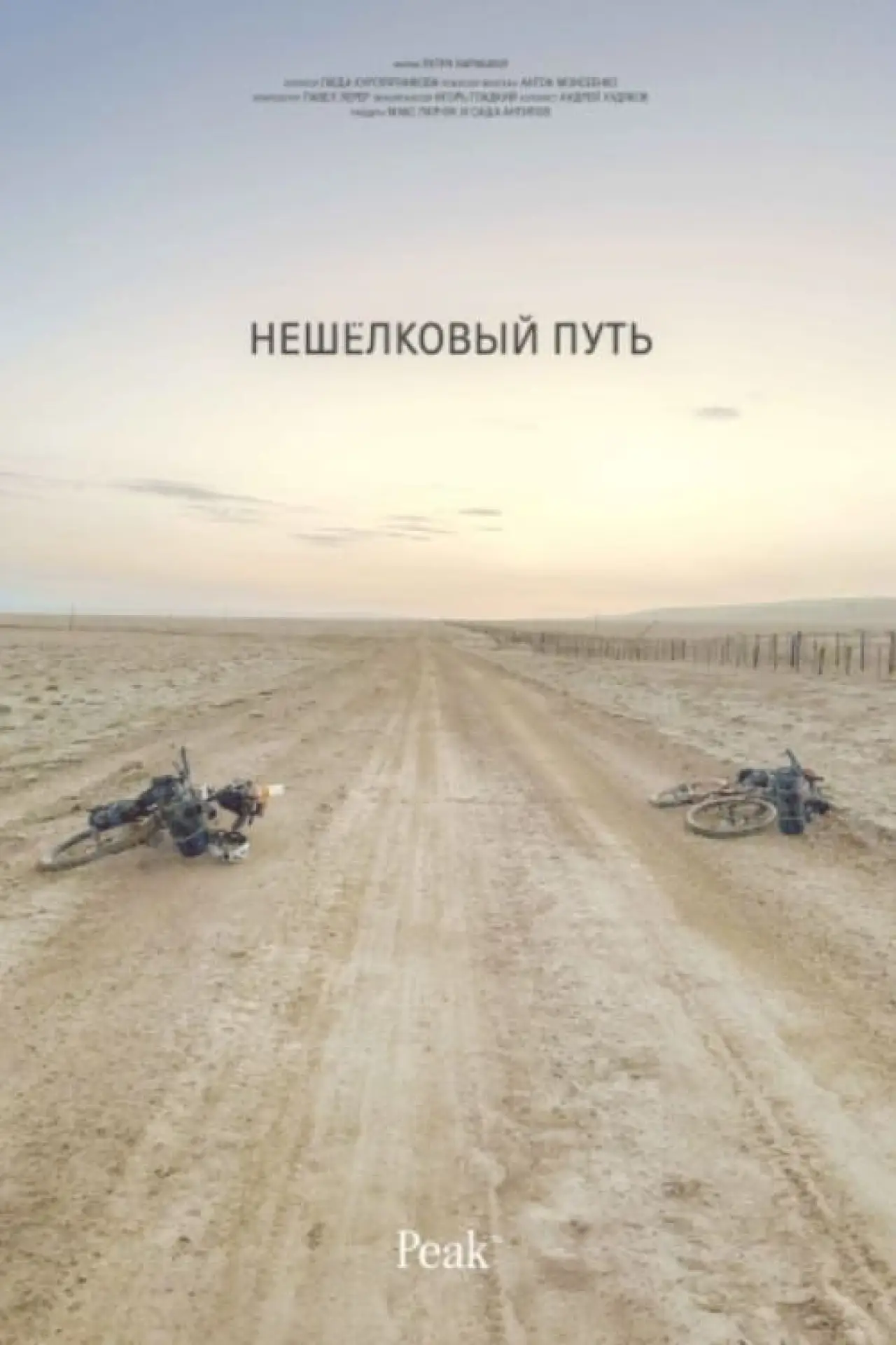 Постер до фільму "Нешелковый путь"