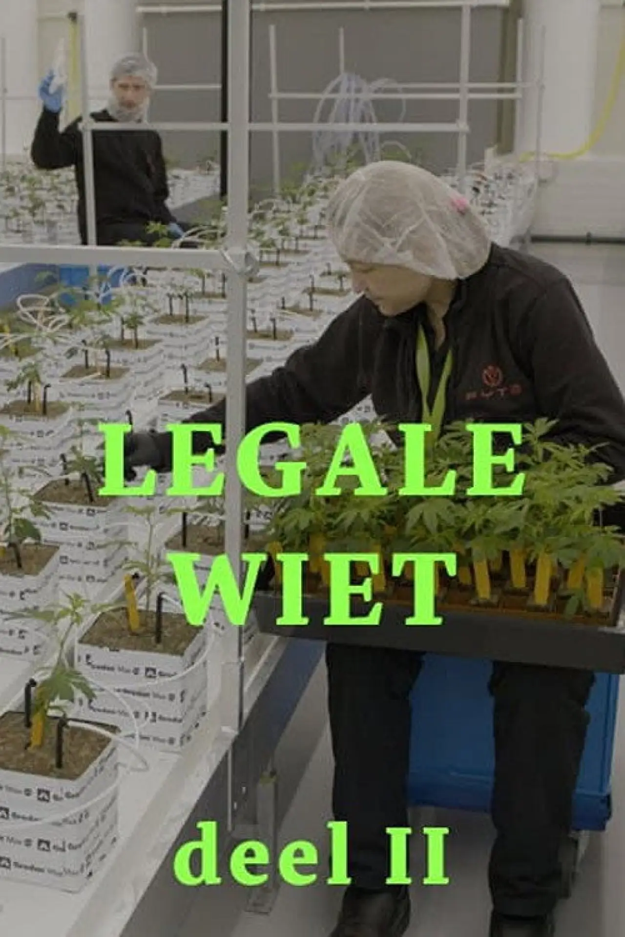 Постер до фільму "Legale wiet 2"