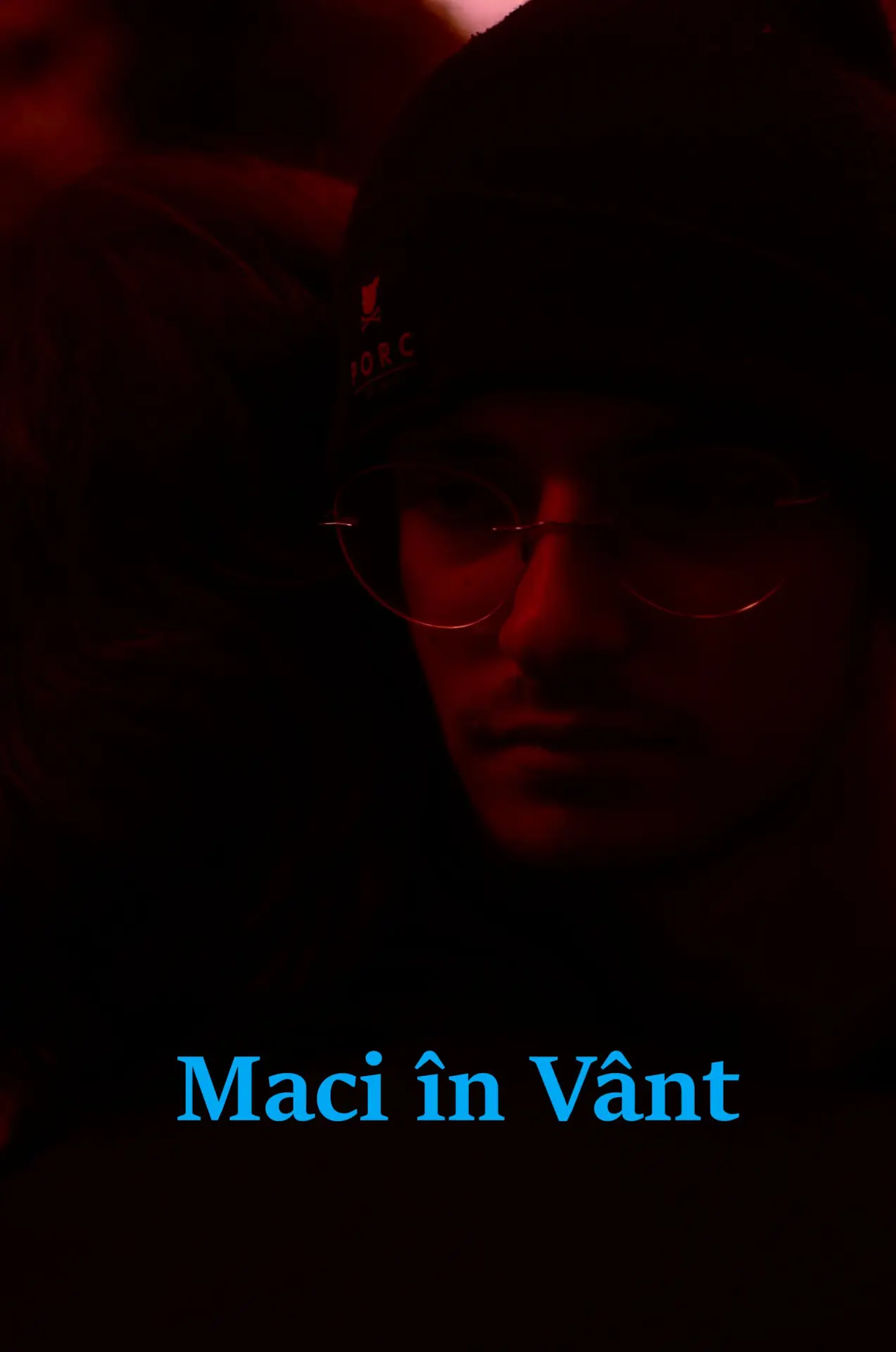 Постер до фільму "Maci în Vânt"
