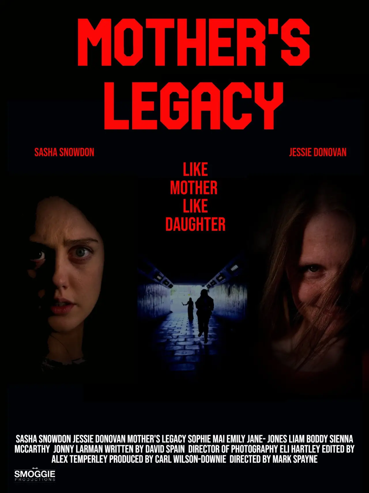 Постер до фільму "Mothers Legacy"