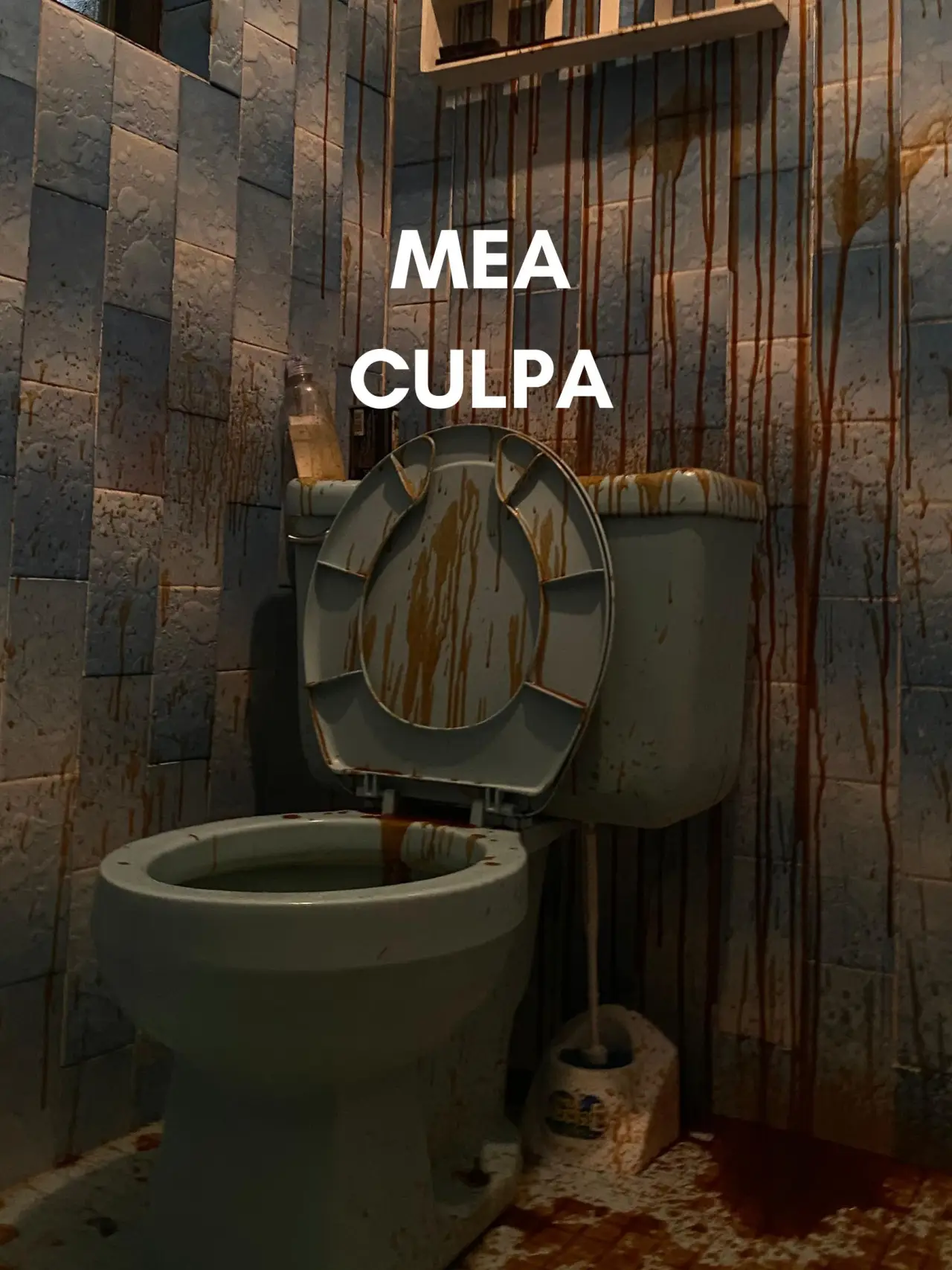 Постер до фільму "Mea Culpa"