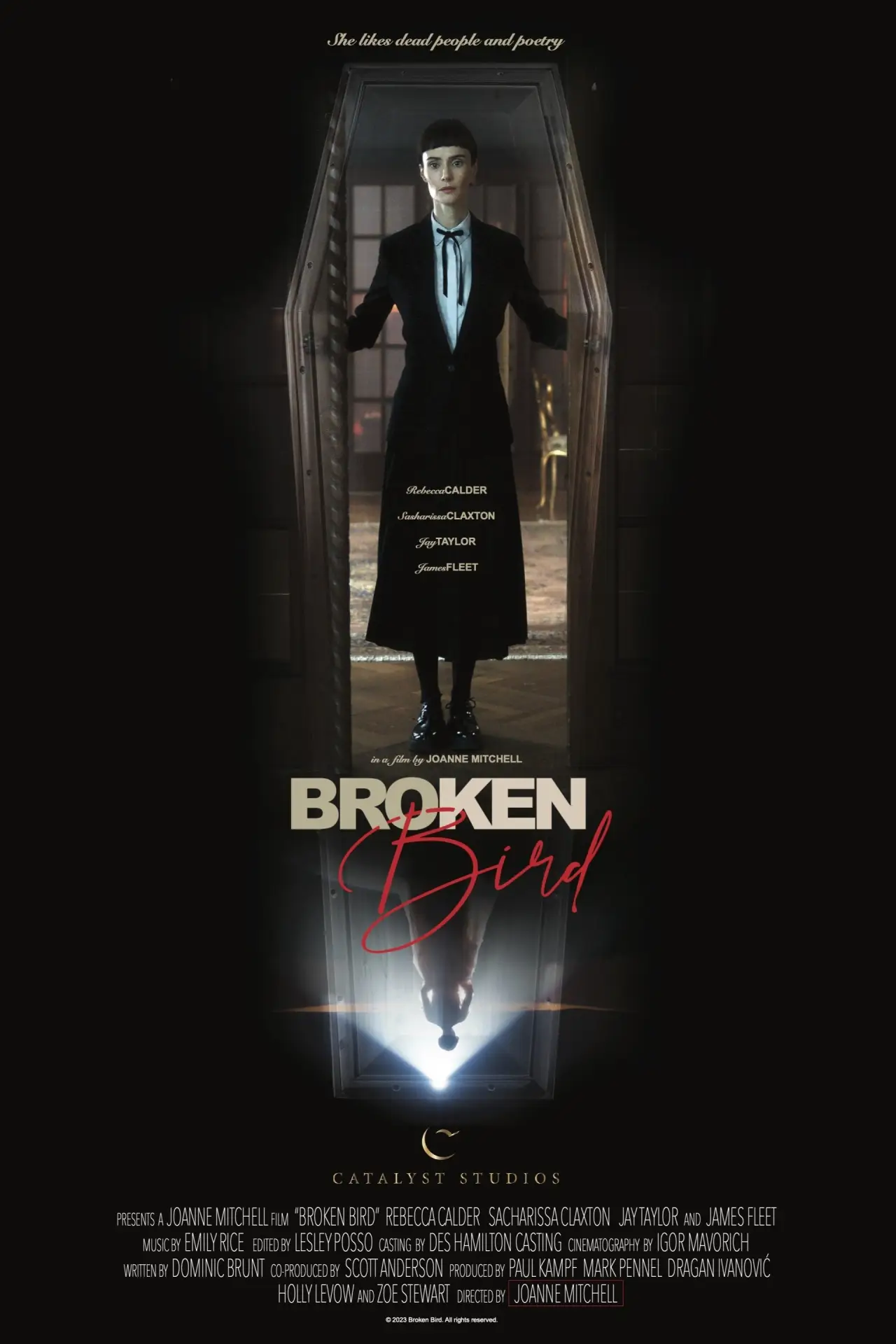 Постер до фільму "Broken Bird"