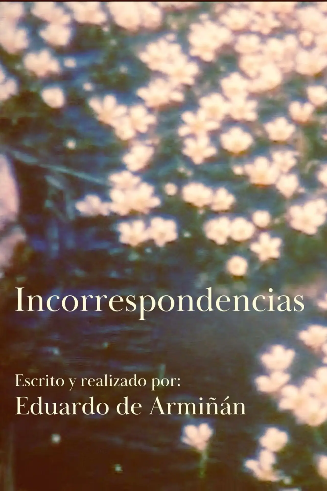 Постер до фільму "Incorrespondencias"