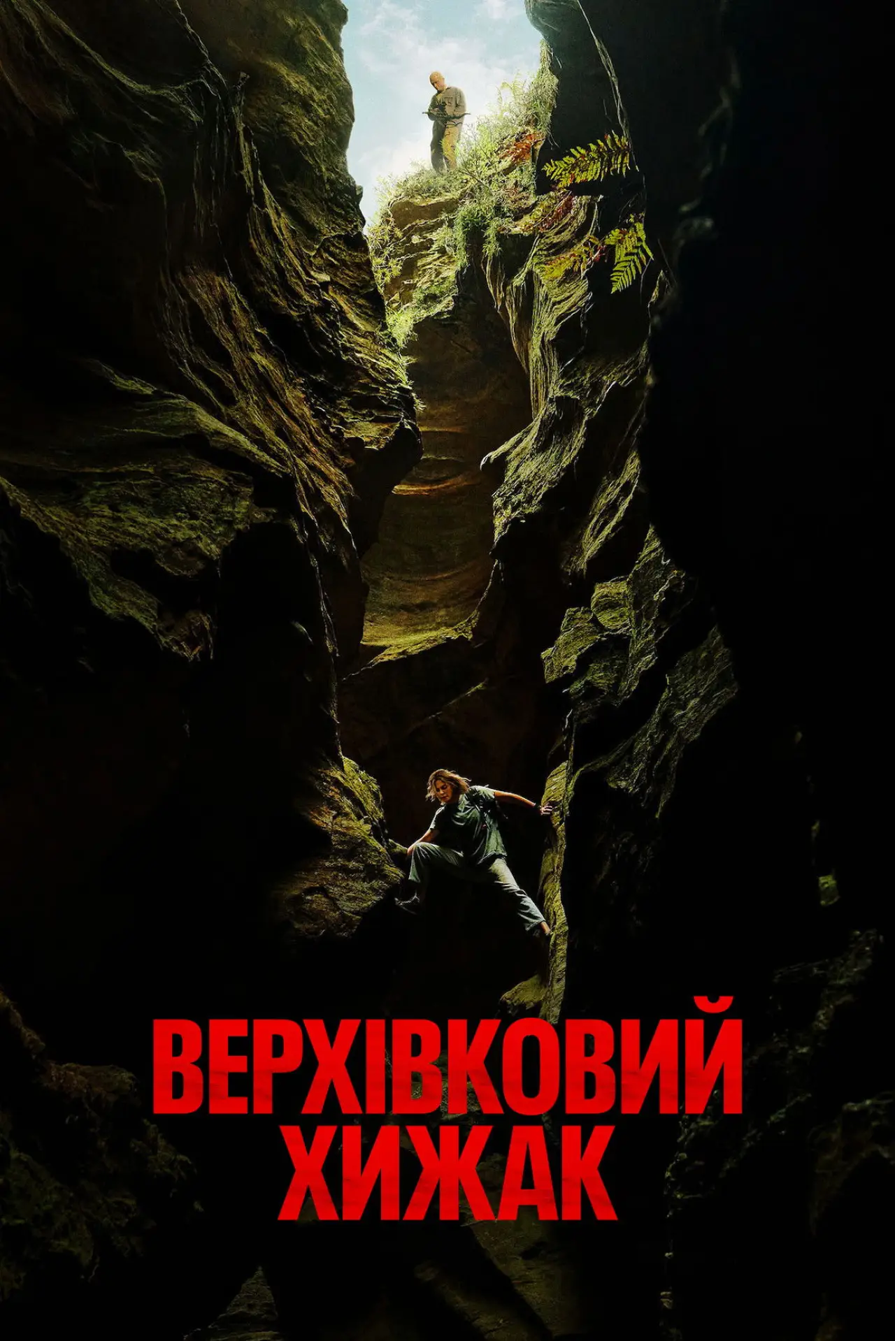 Постер до фільму "Верхівковий хижак"