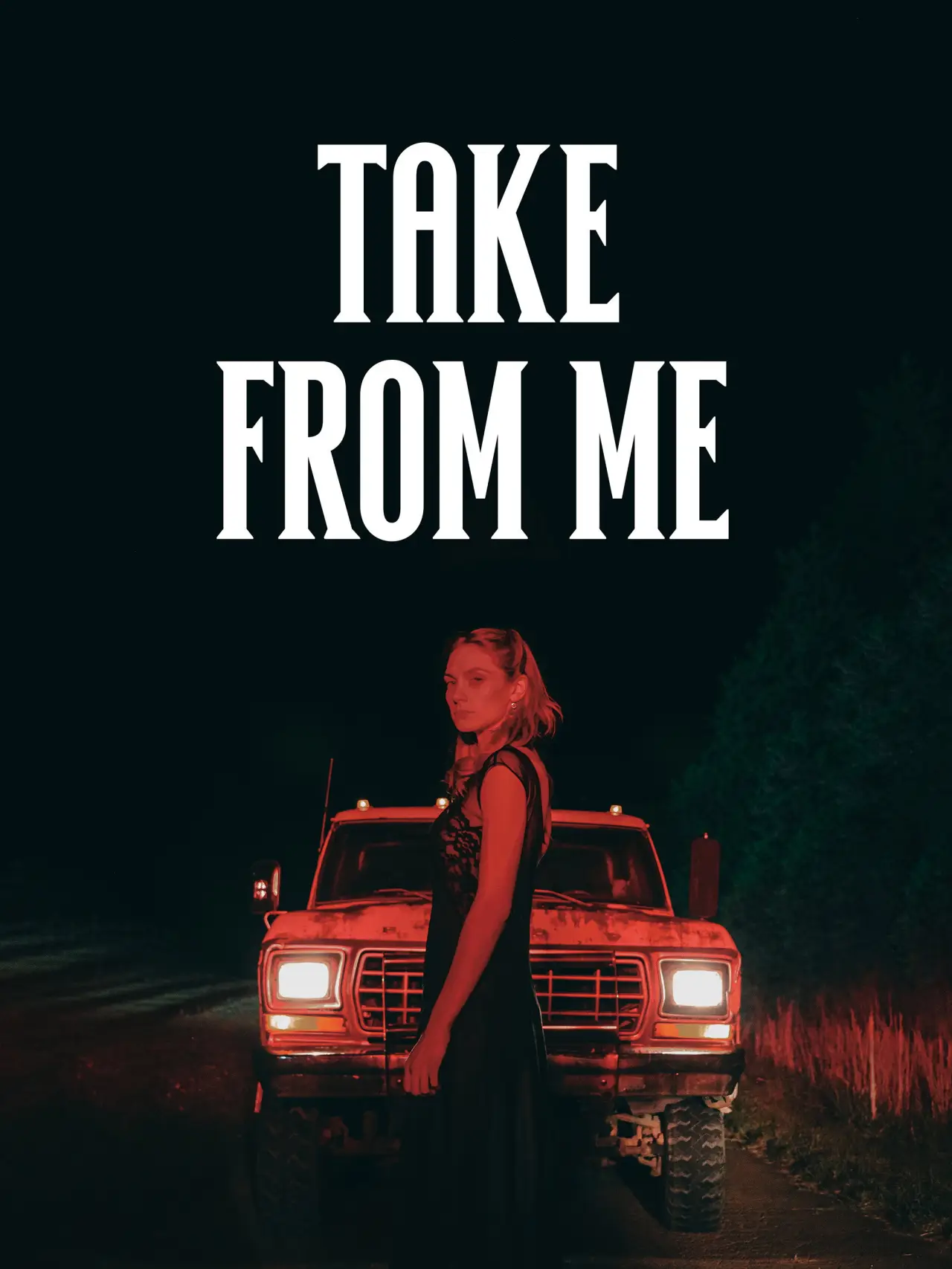 Постер до фільму "Take from Me"