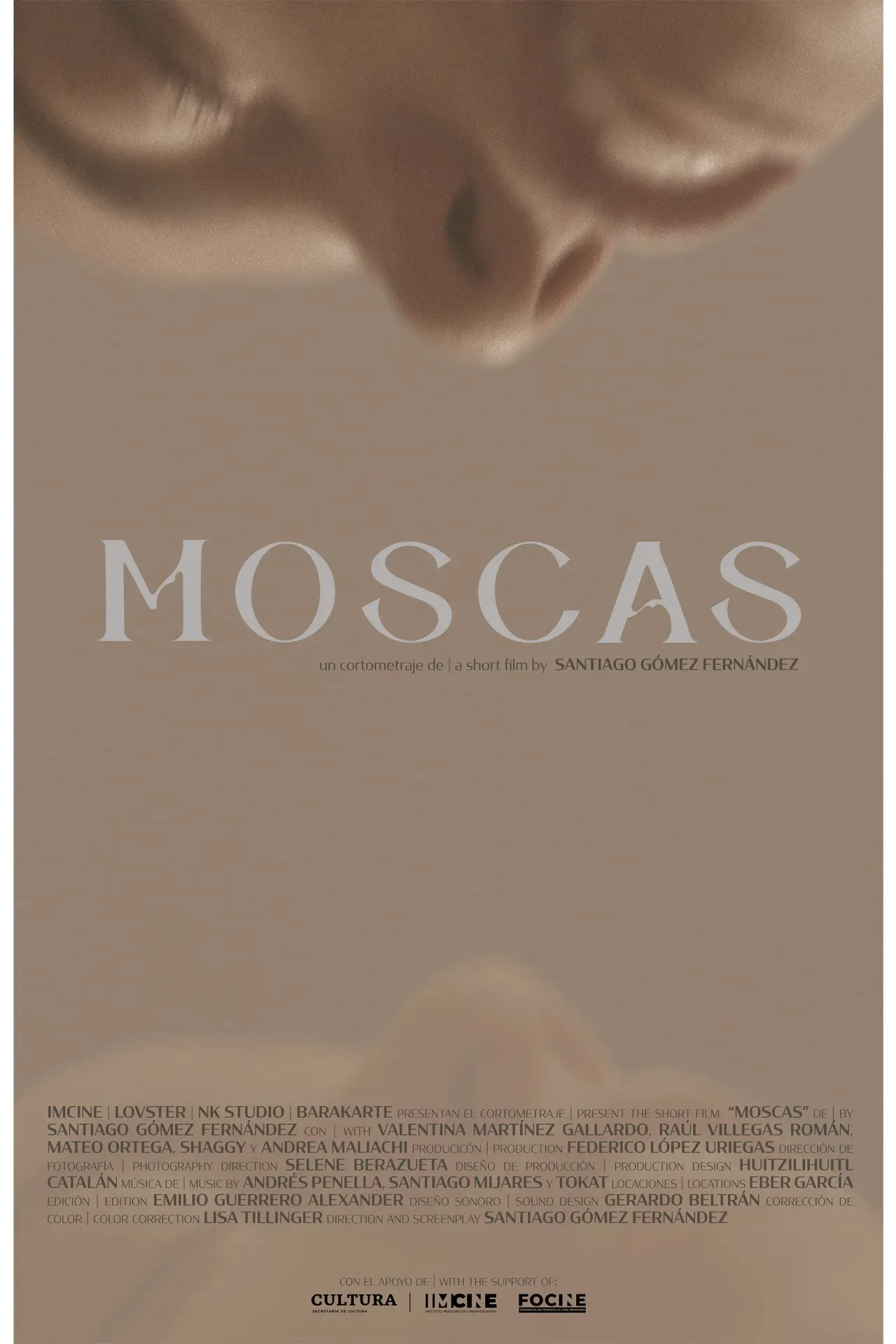 Постер до фільму "Moscas"