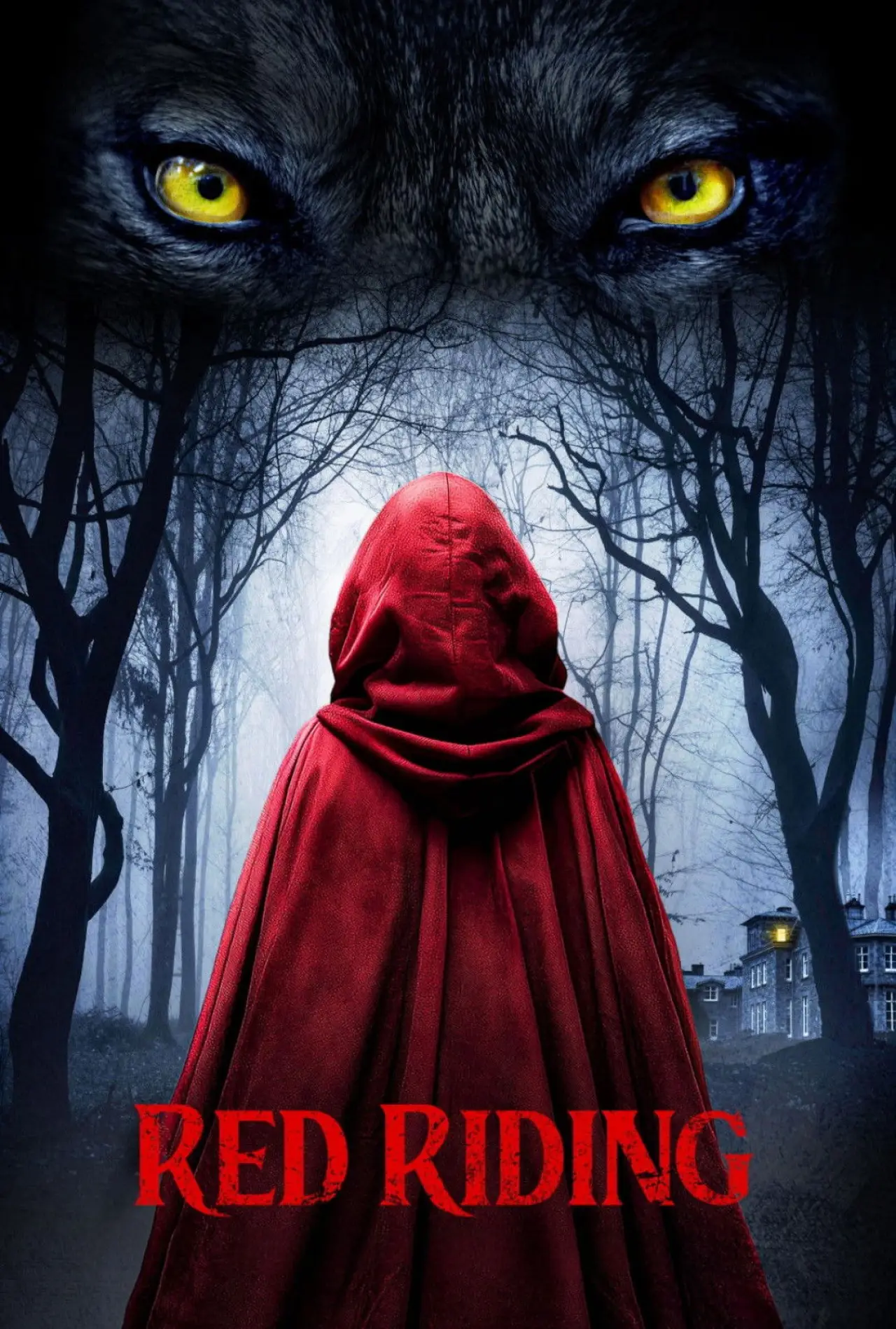 Постер до фільму "Red Riding"