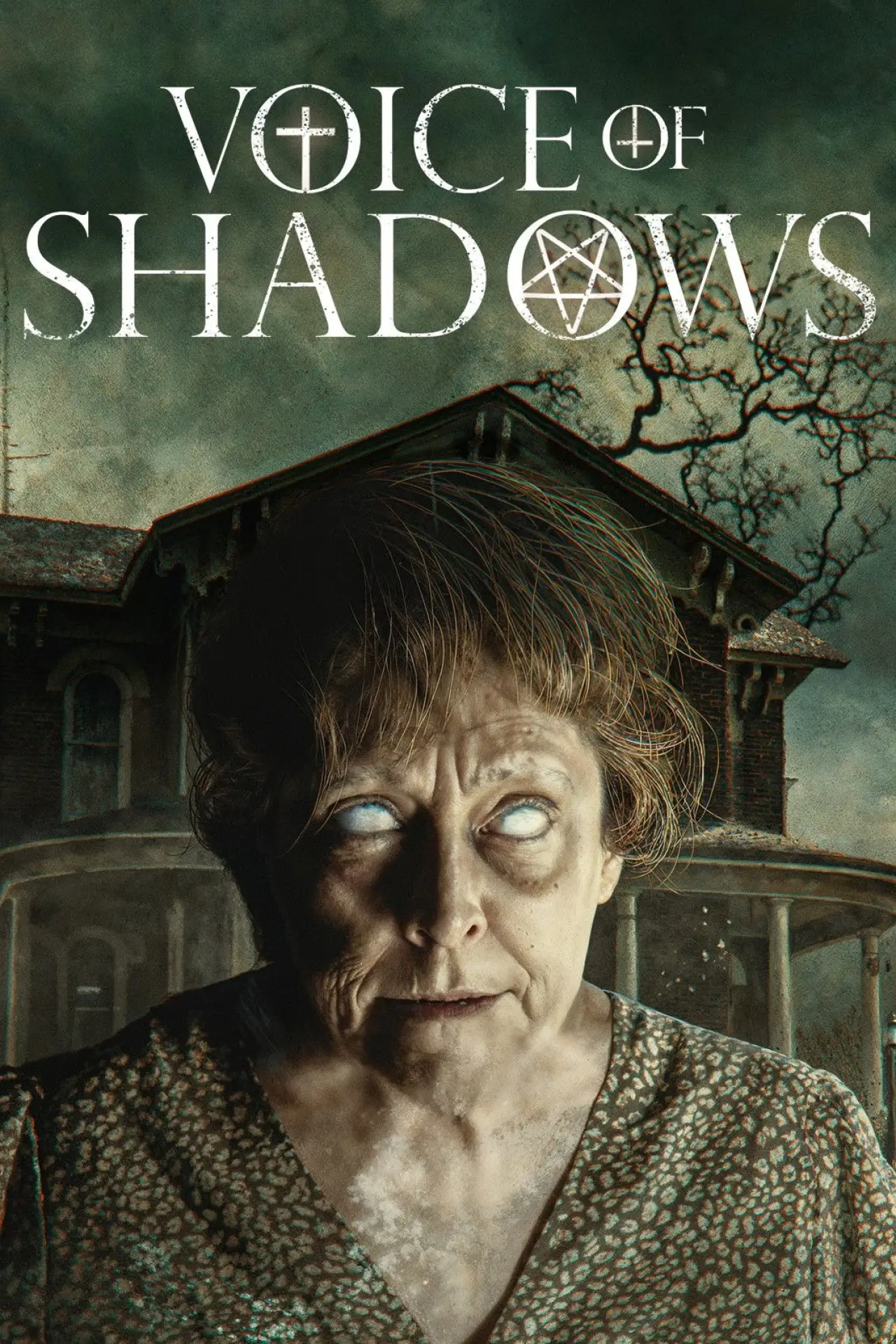 Постер до фільму "Voice of Shadows"