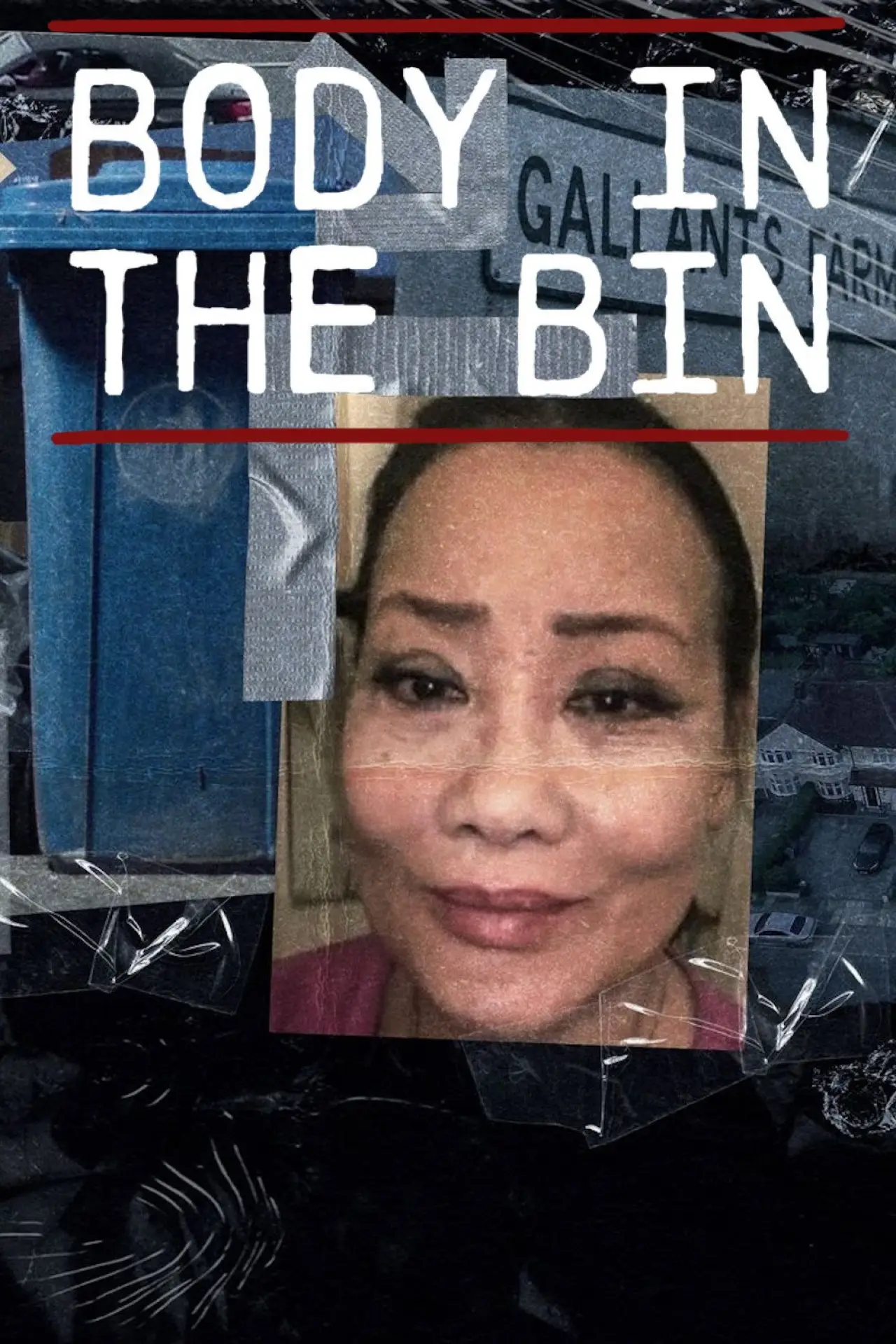 Постер до фільму "Body in the Bin: The Murder of Louise Kam"