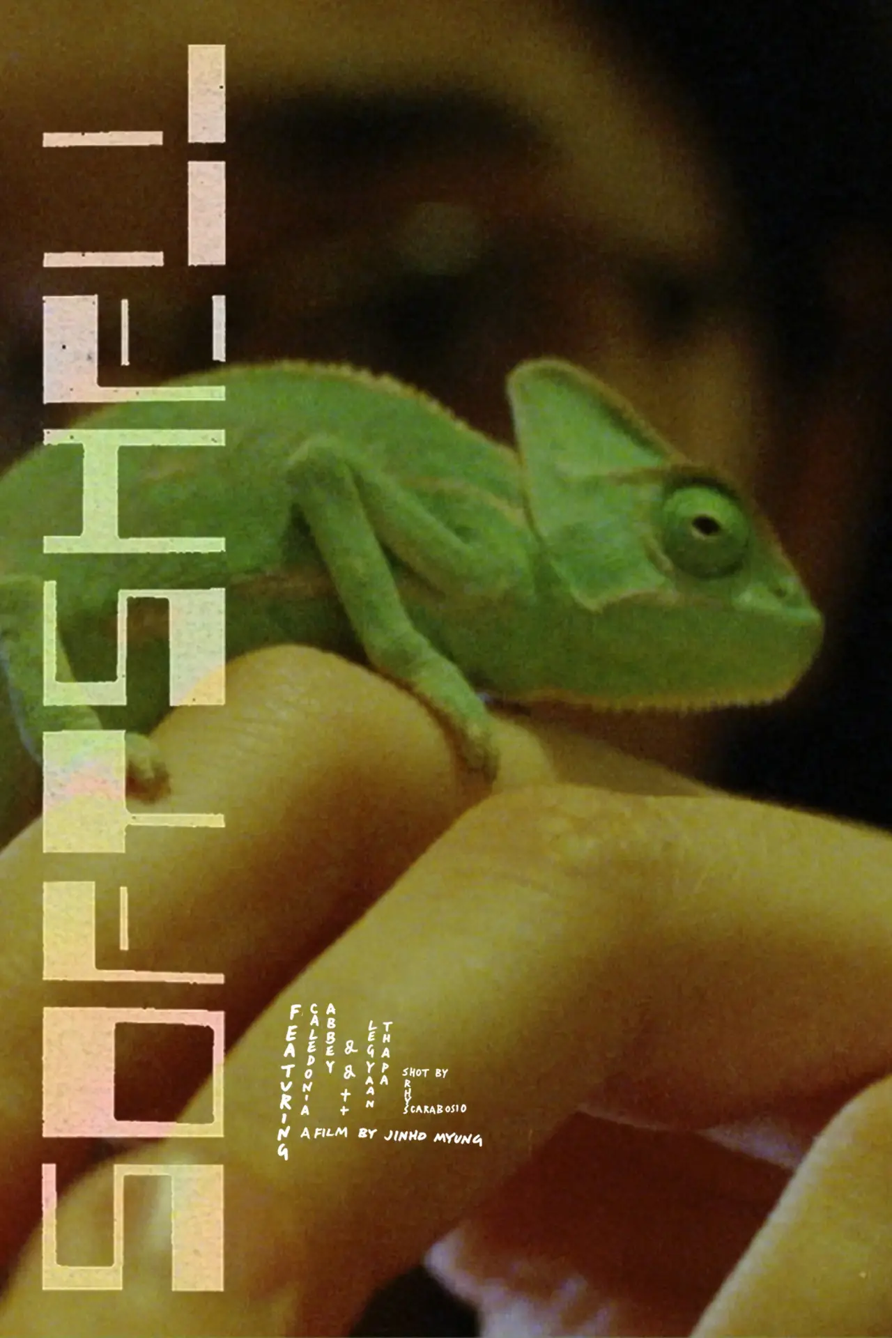 Постер до фільму "Softshell"