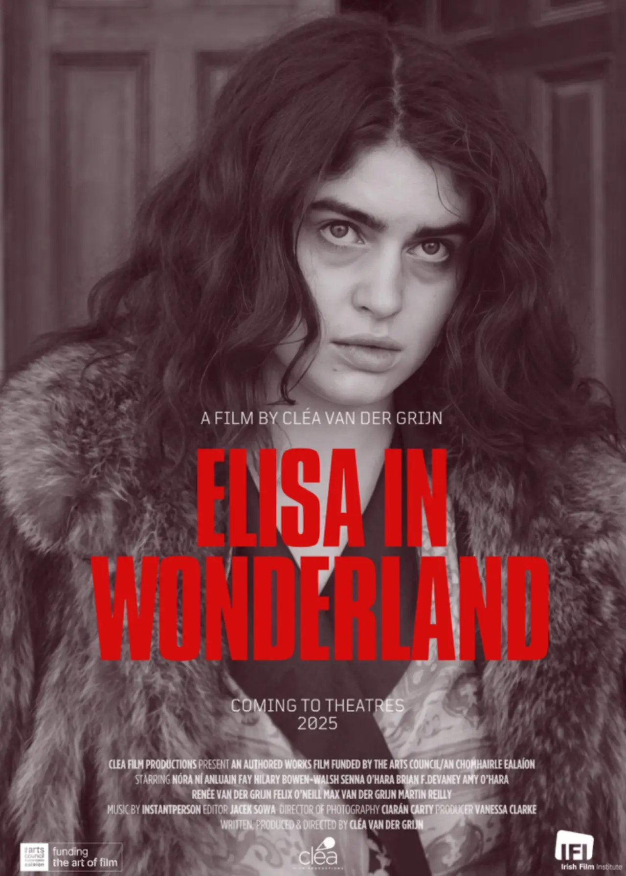 Постер до фільму "Elisa in Wonderland"
