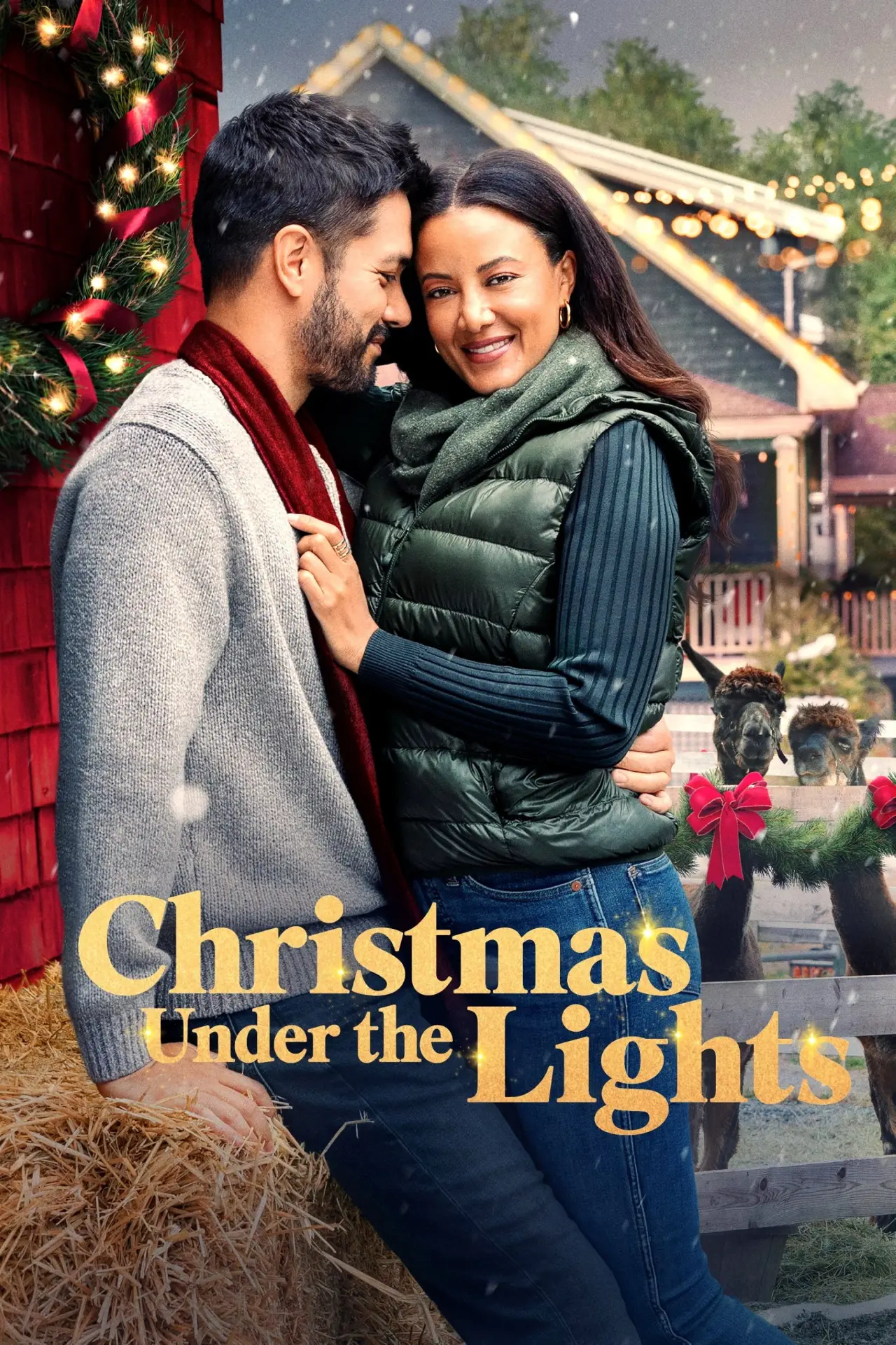 Постер до фільму "Christmas Under the Lights"