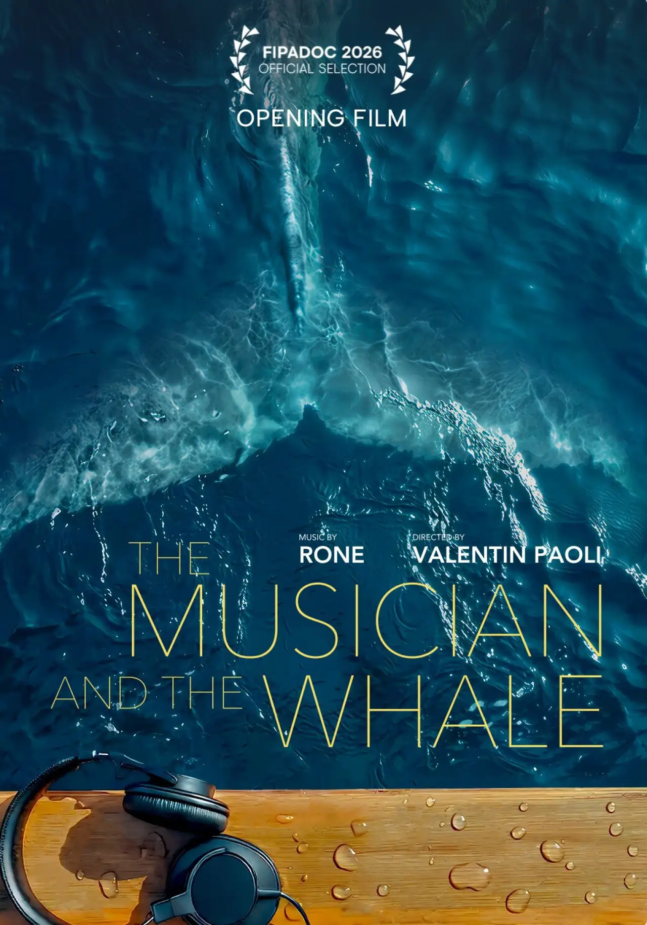 Постер до фільму "La Baleine et le musicien"
