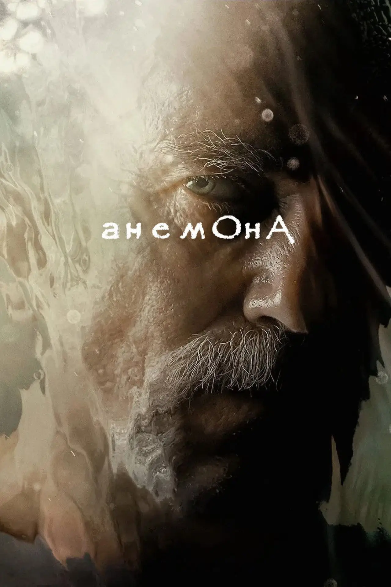 Постер до фільму "Анемона"