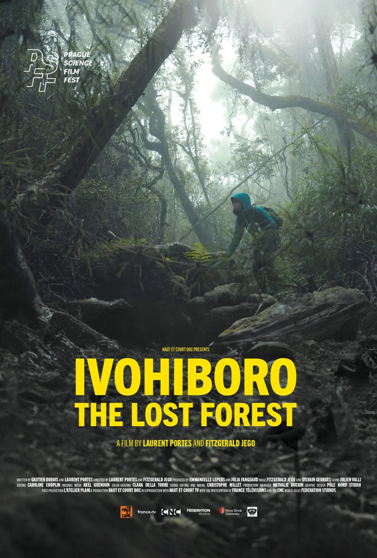 Постер до фільму "Ivohiboro: La Forêt Oubliée"