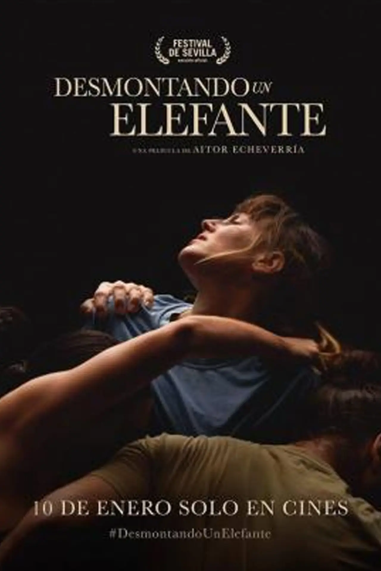 Постер до фільму "Desmontando un elefante"