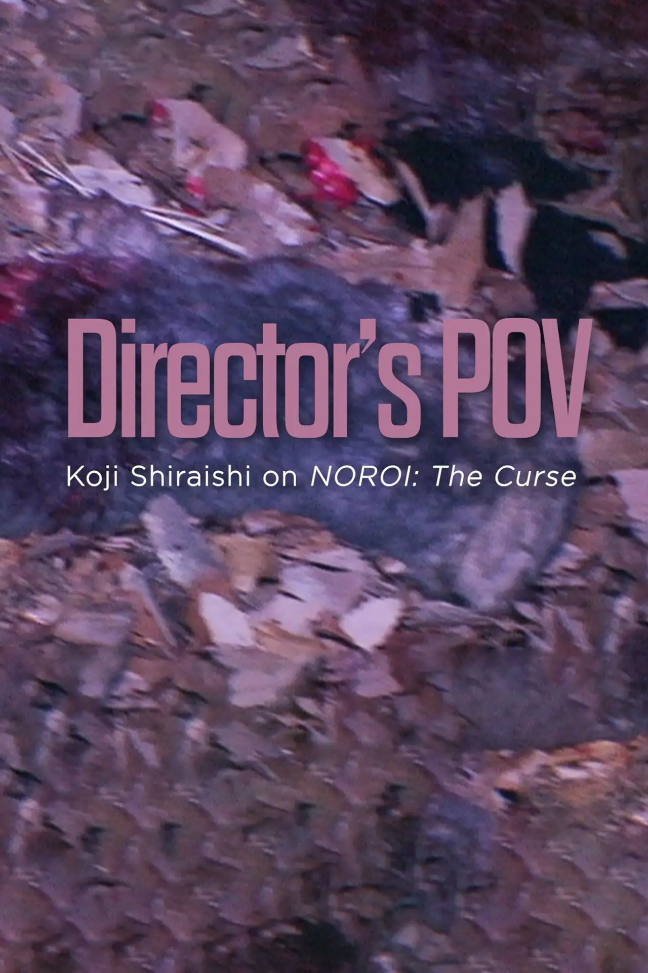 Постер до фільму "Director