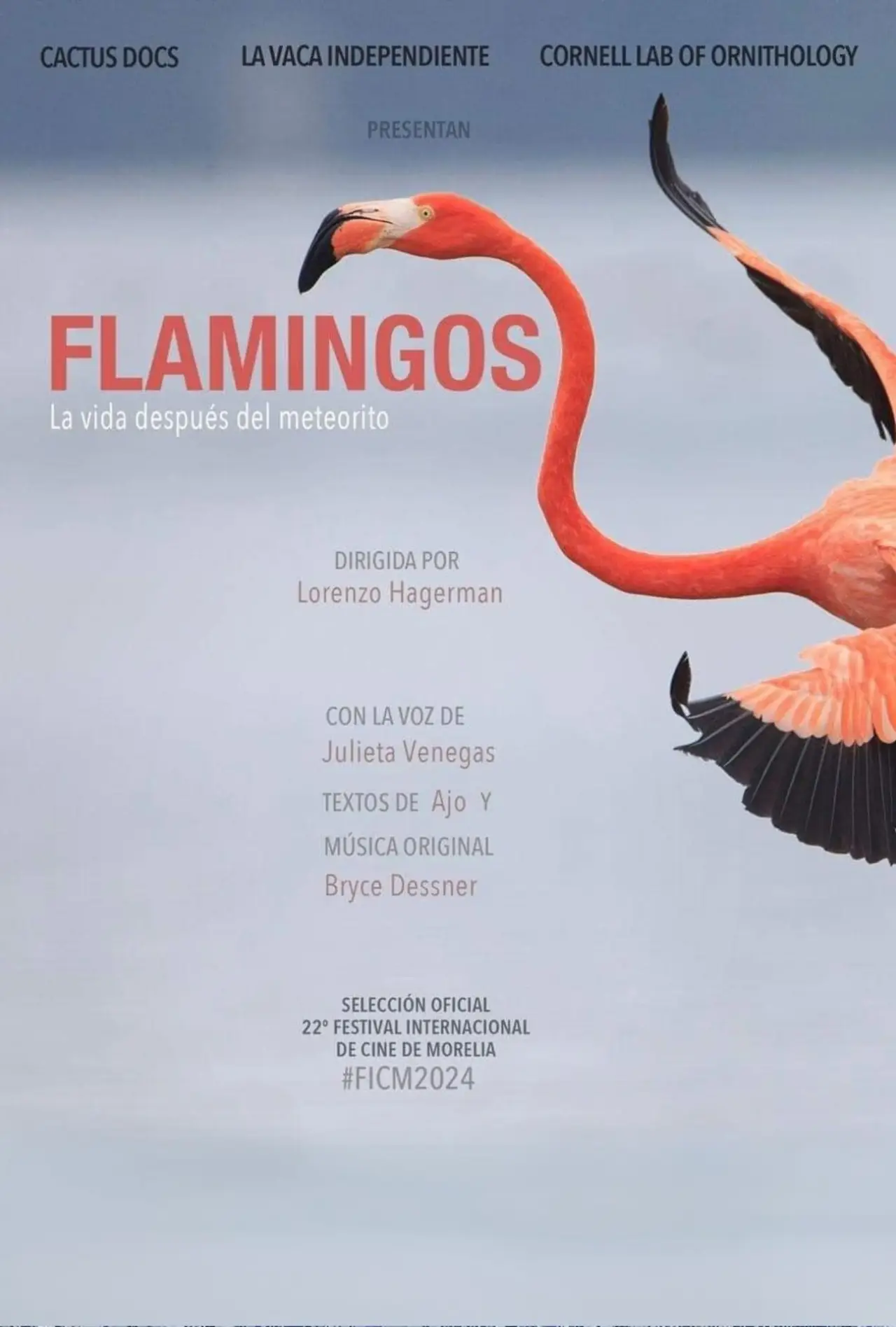 Постер до фільму "Flamingos: La vida después del meteorito"