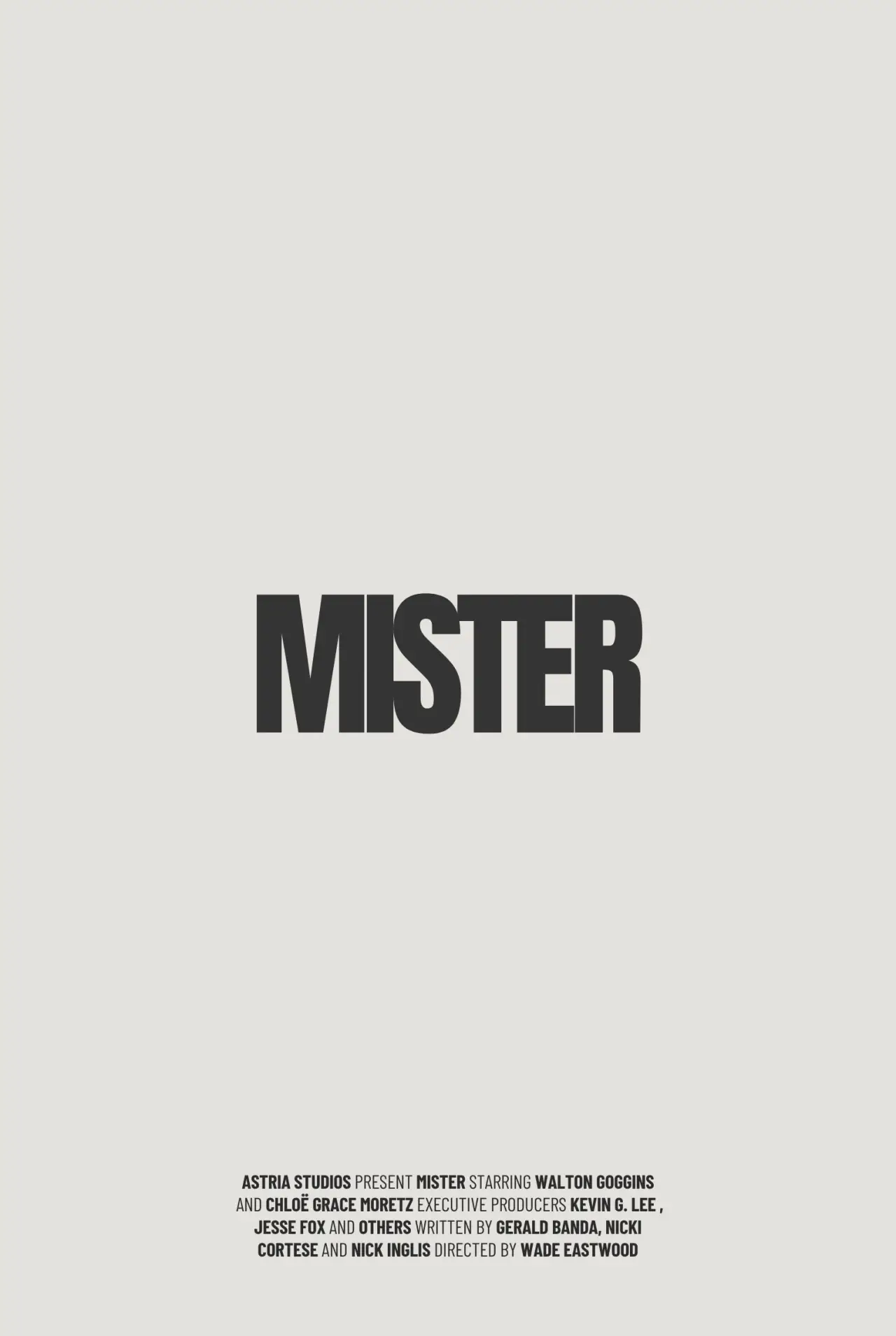Постер до фільму "Mister"
