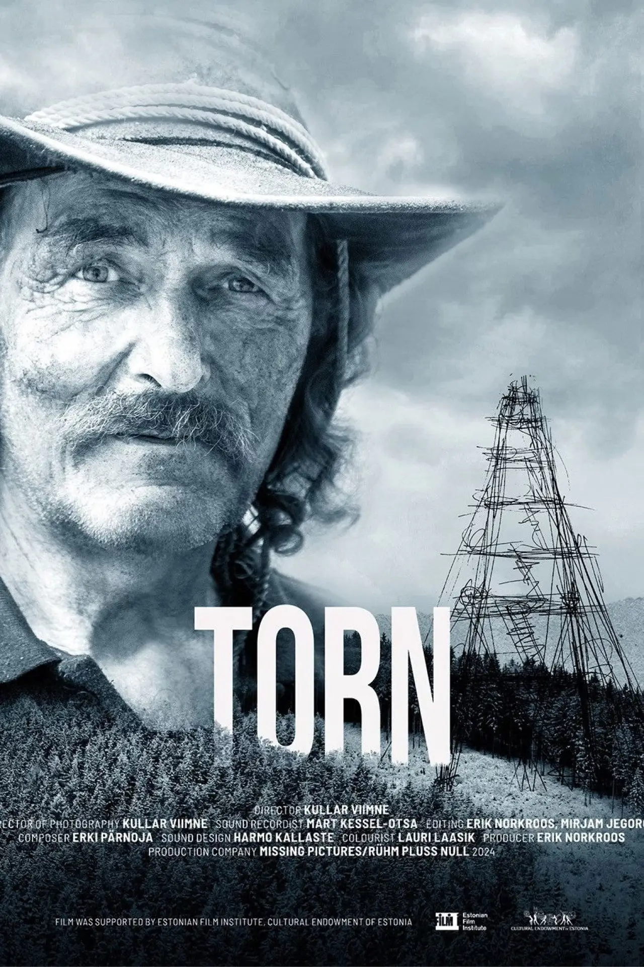 Постер до фільму "Torn"
