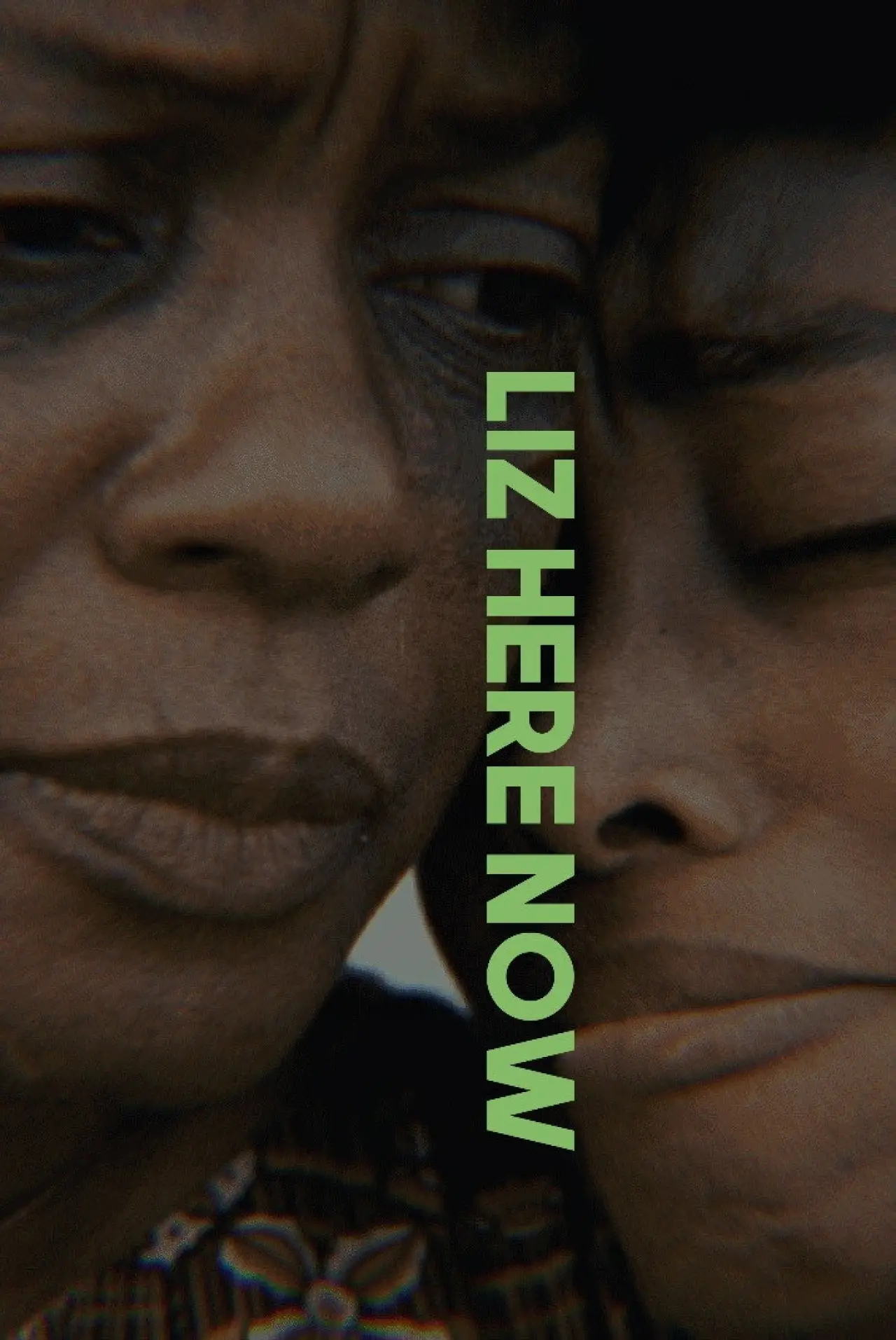 Постер до фільму "Liz Here Now"
