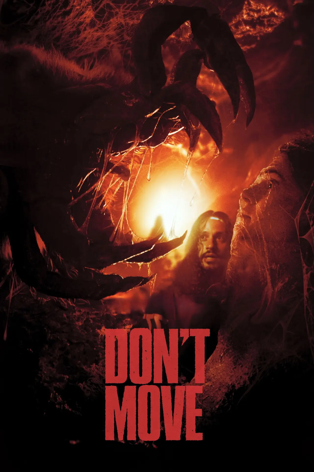 Постер до фільму "Don