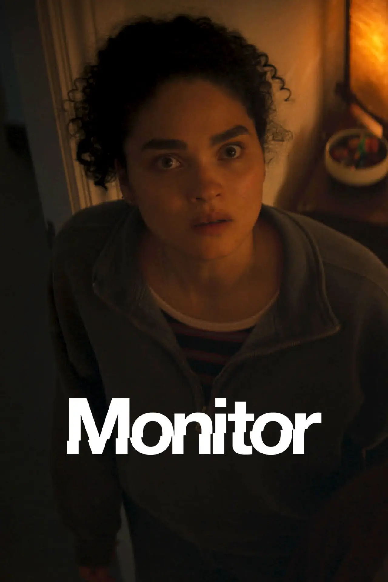 Постер до фільму "Monitor"