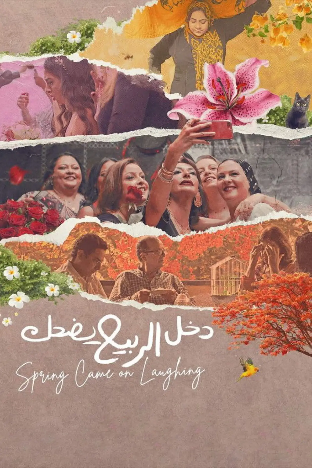 Постер до фільму "دخل الربيع يضحك"