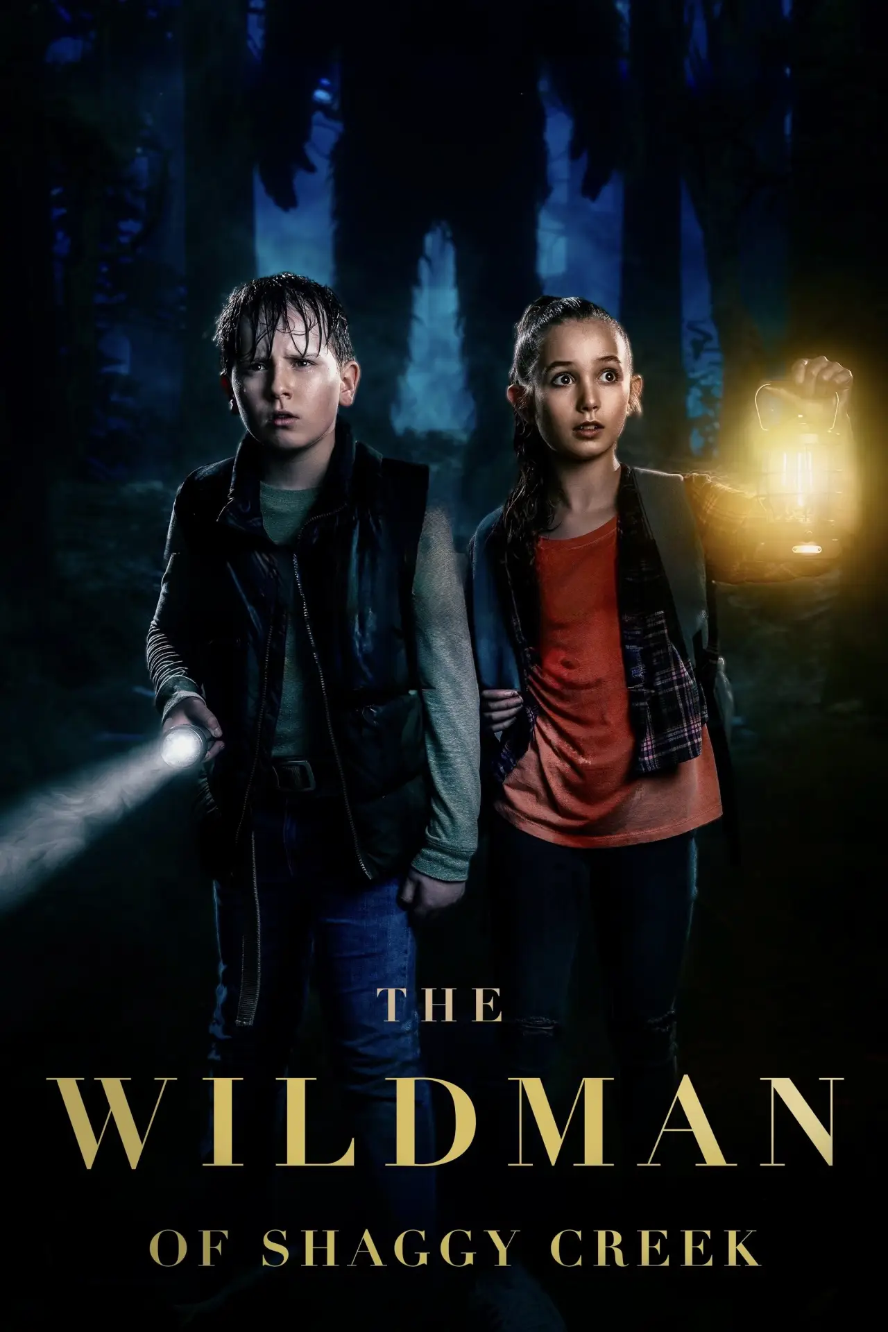 Постер до фільму "The Wildman of Shaggy Creek"