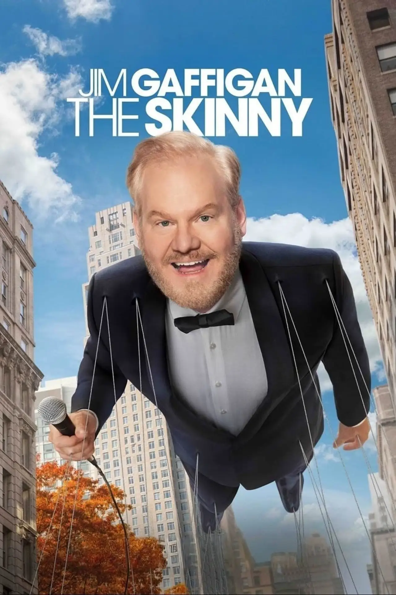 Постер до фільму "Jim Gaffigan: The Skinny"