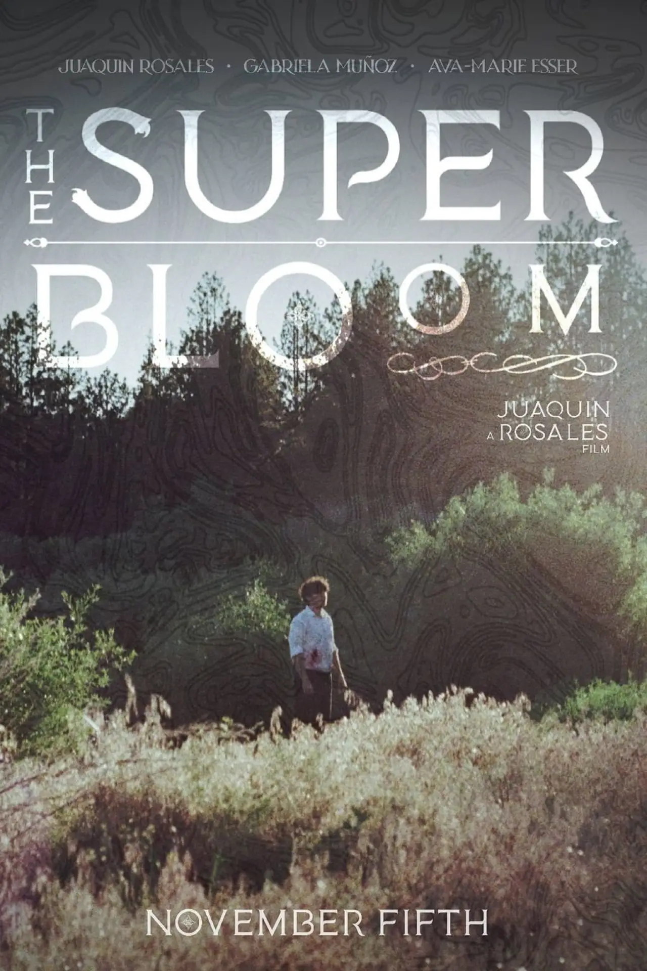 Постер до фільму "The Superbloom"