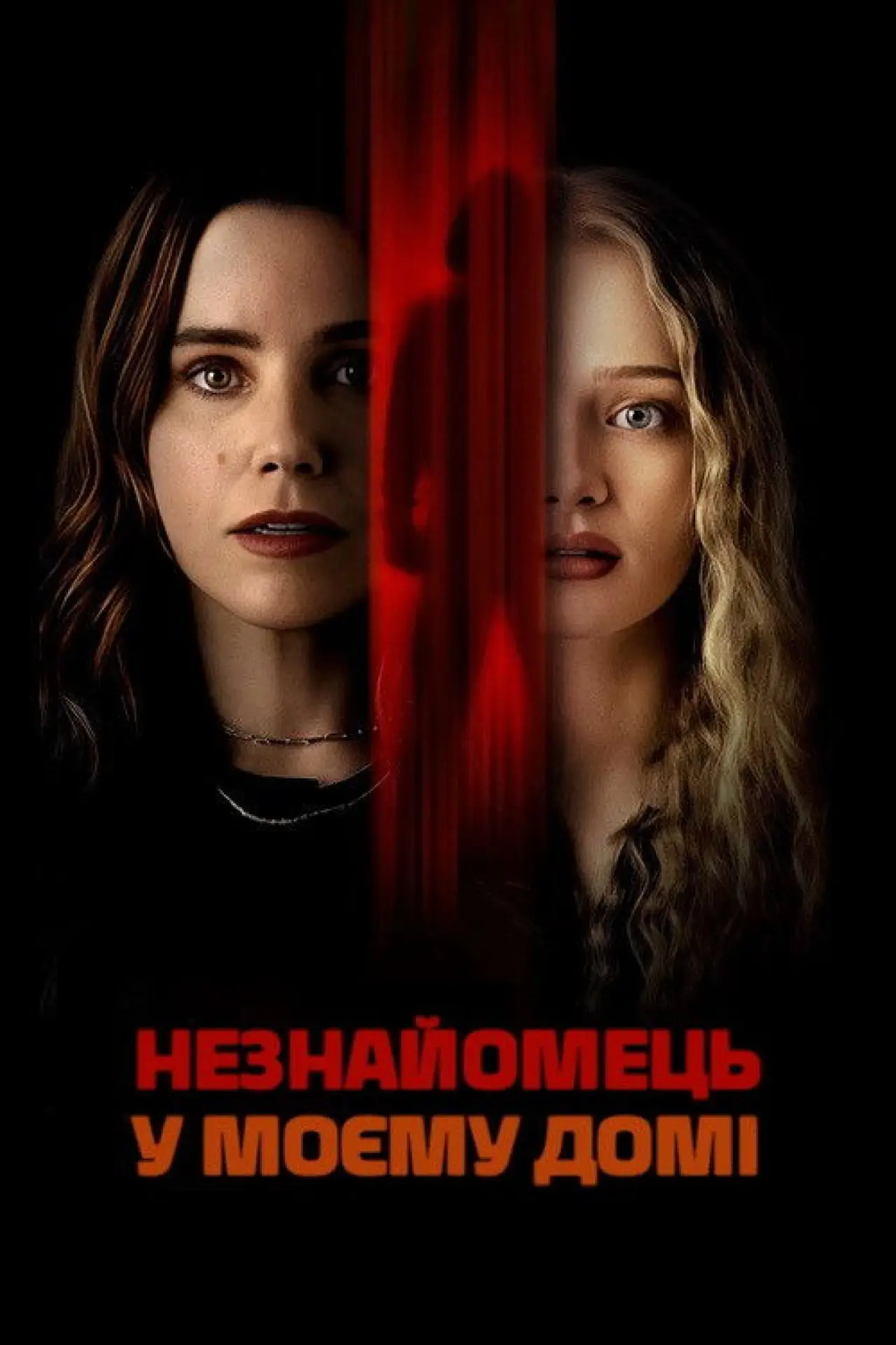Постер до фільму "Незнайомець у моєму домі"