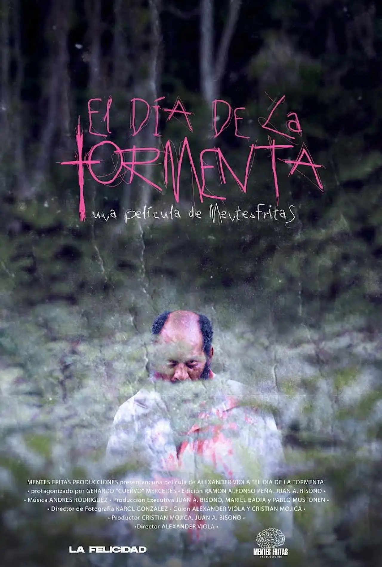 Постер до фільму "El dia de la tormenta"
