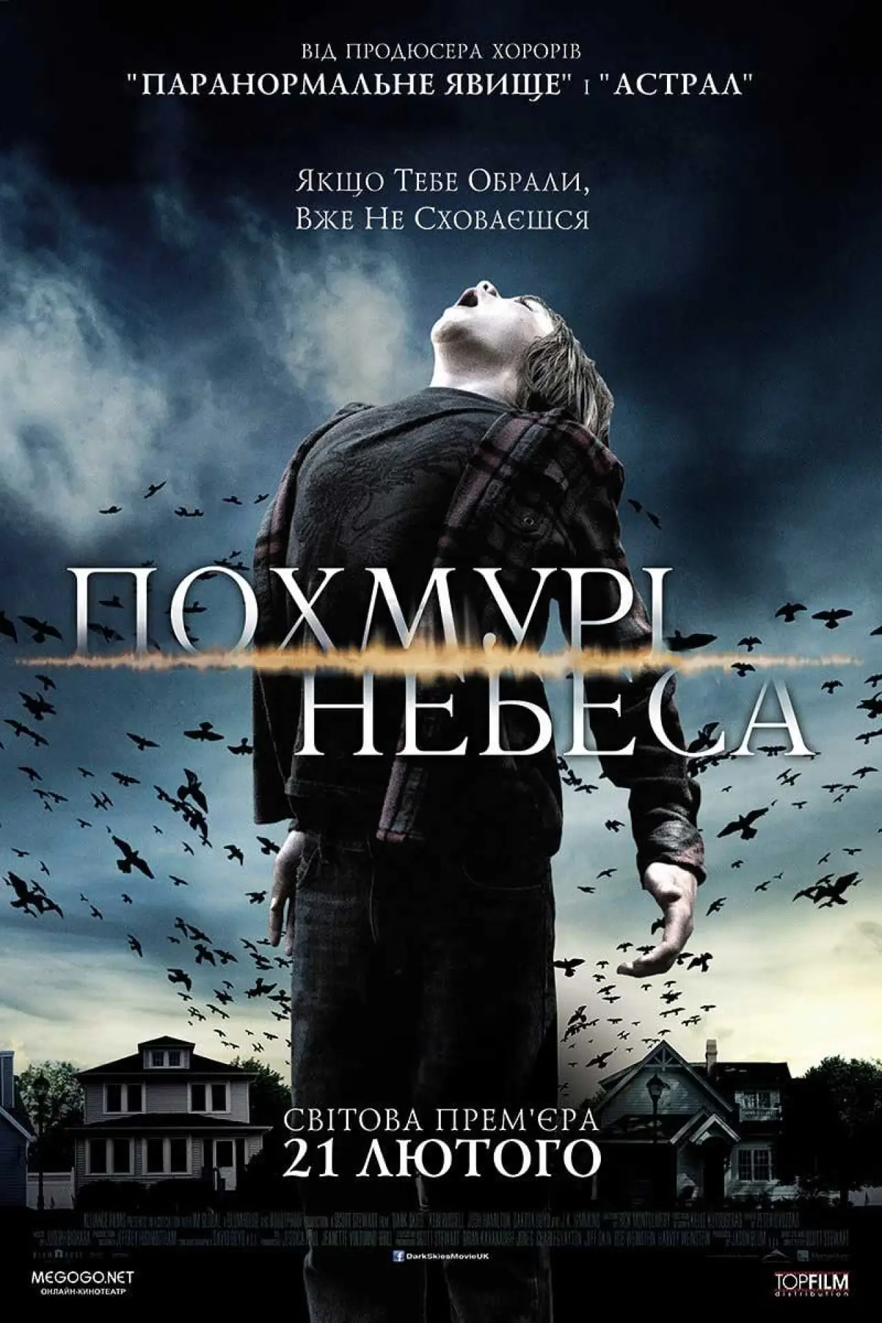 Постер до фільму "Похмурі небеса"