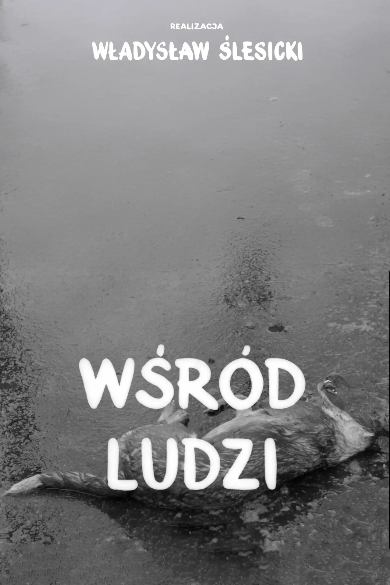 Постер до фільму "Wśród ludzi"