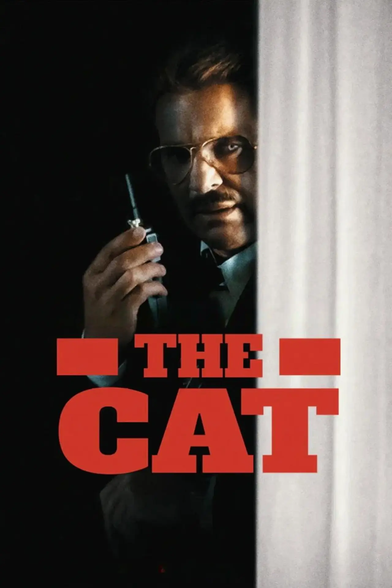 Постер до фільму "Die Katze"
