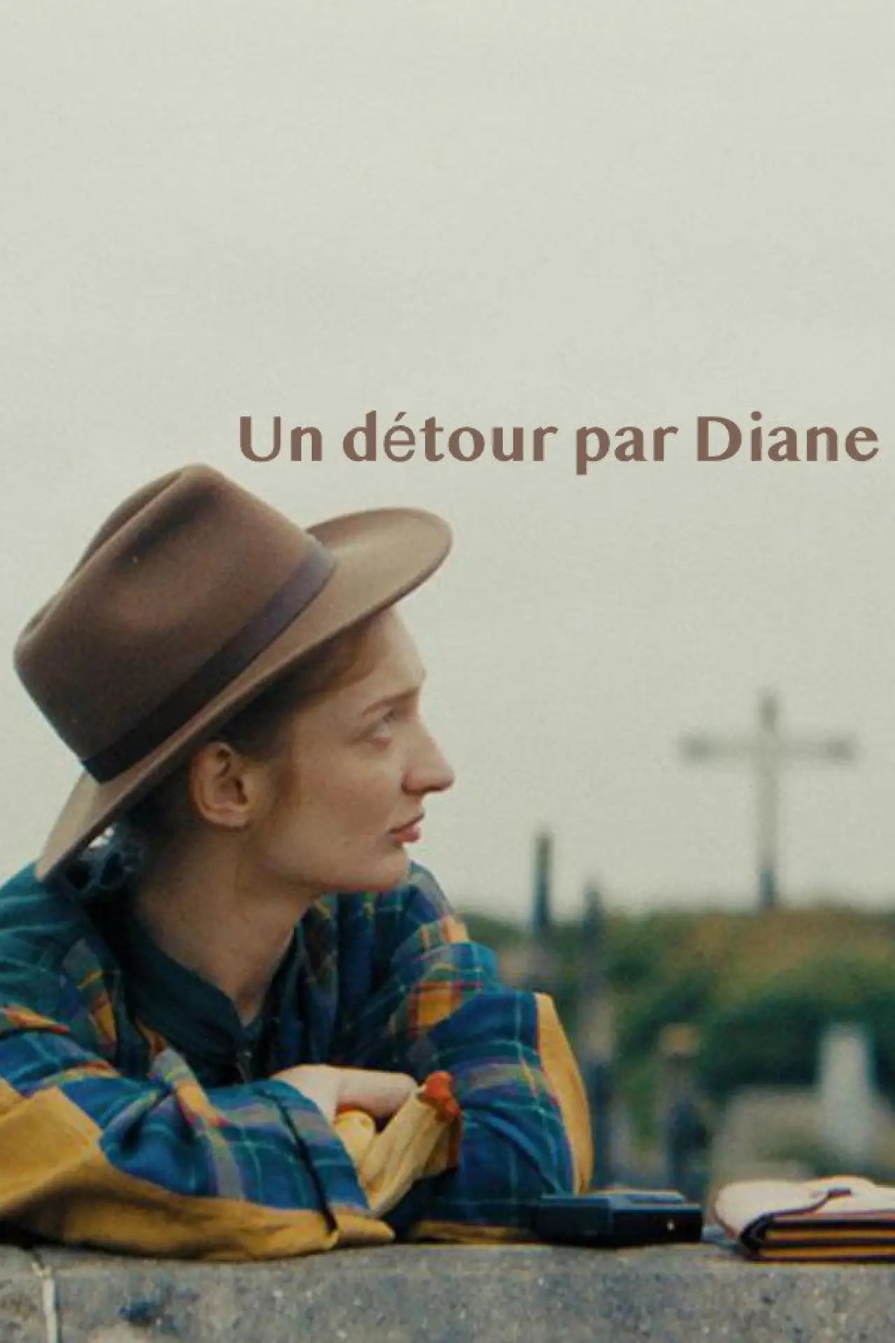 Постер до фільму "Un détour par Diane"