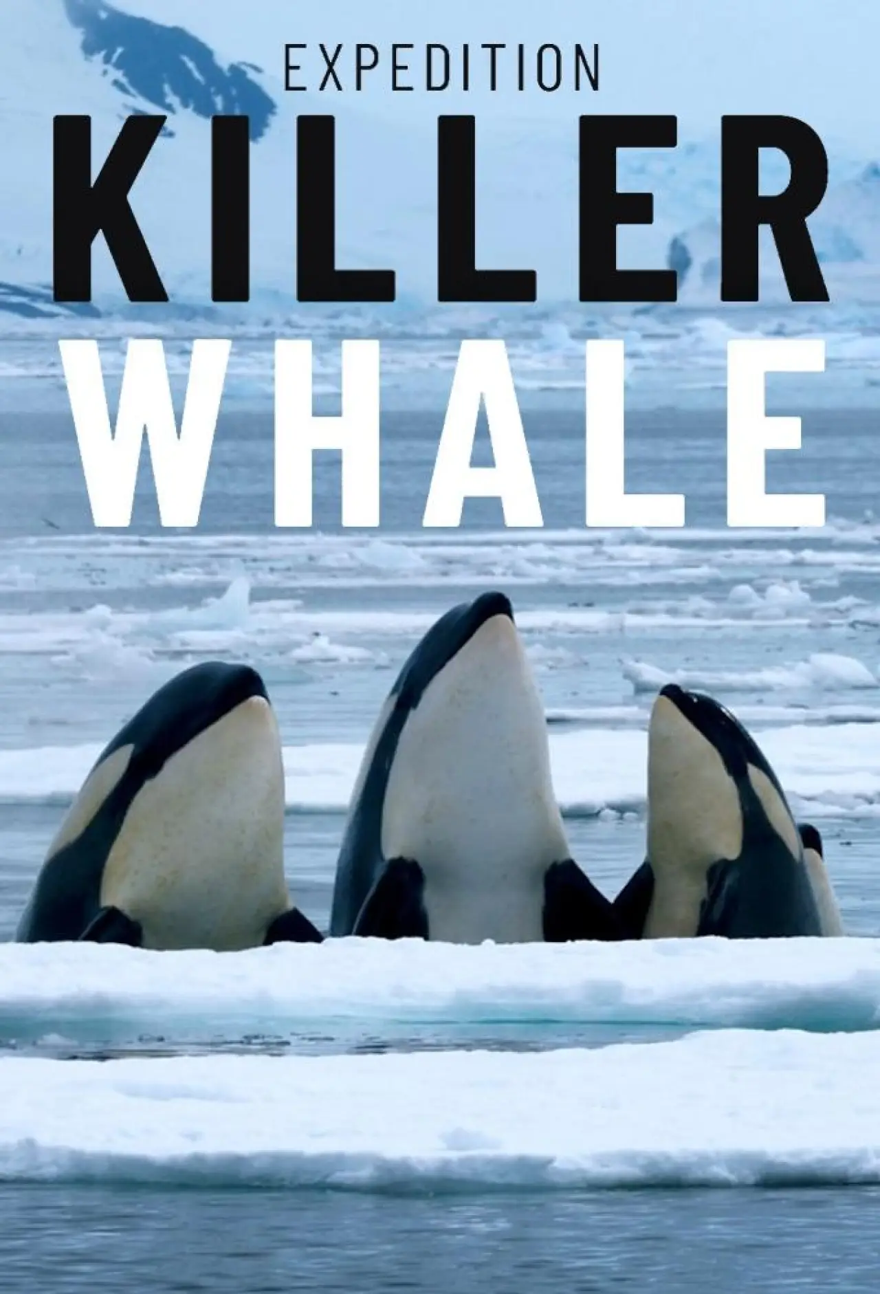 Постер до фільму "Expedition Killer Whale"