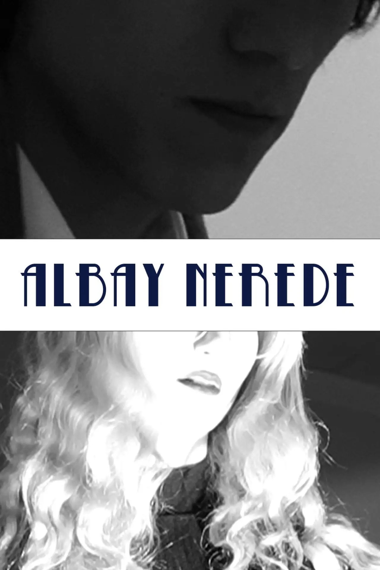 Постер до фільму "Albay Nerede"