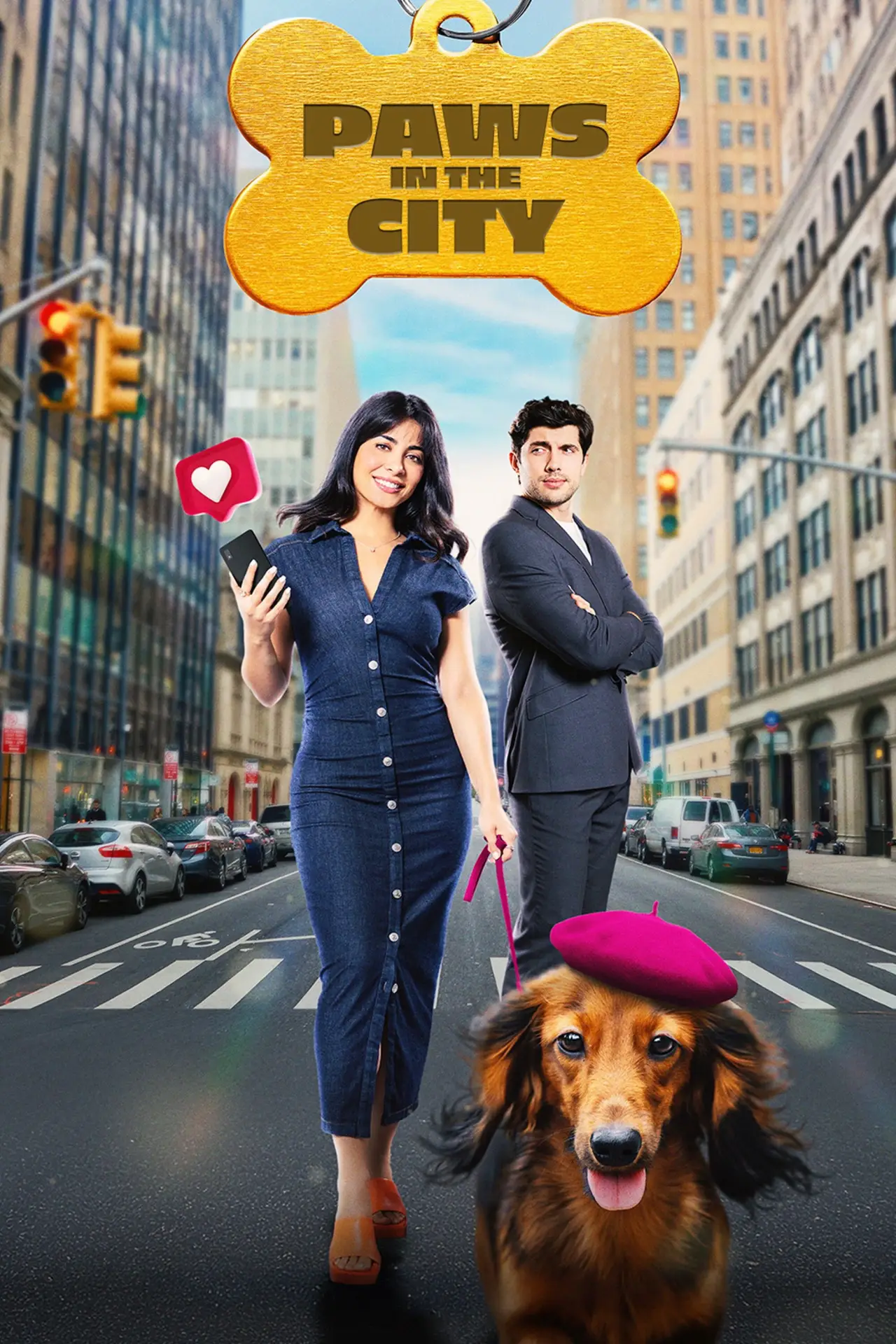 Постер до фільму "Paws in the City"