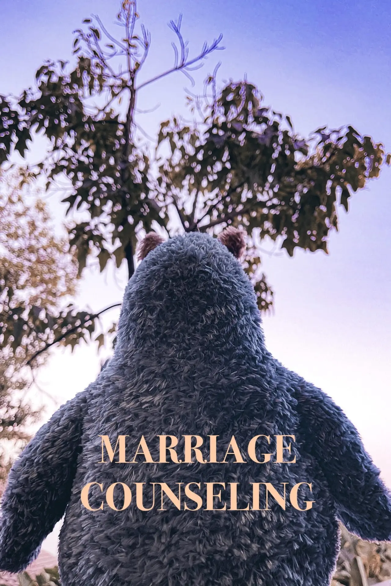 Постер до фільму "Marriage Counseling"