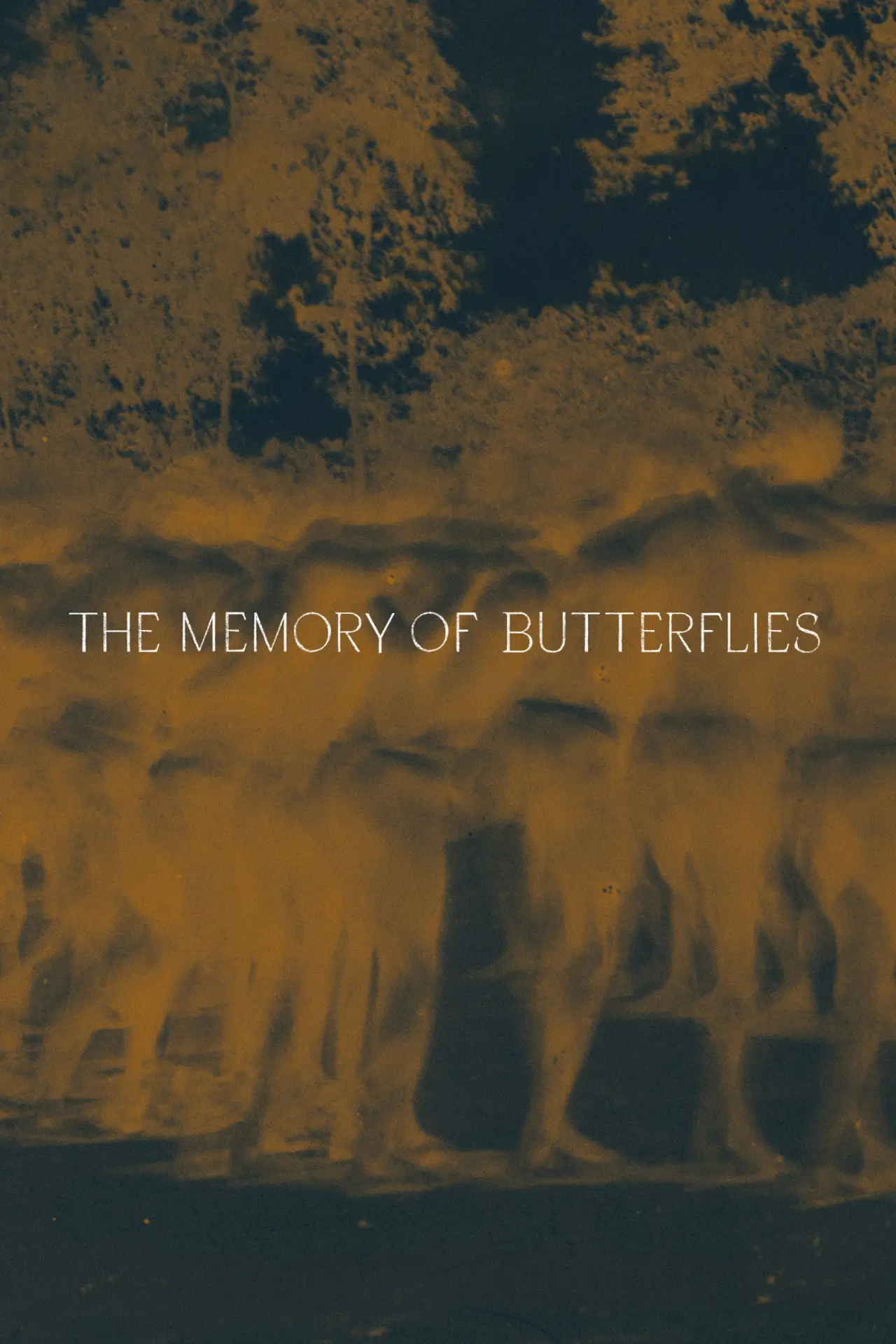 Постер до фільму "La memoria de las mariposas"