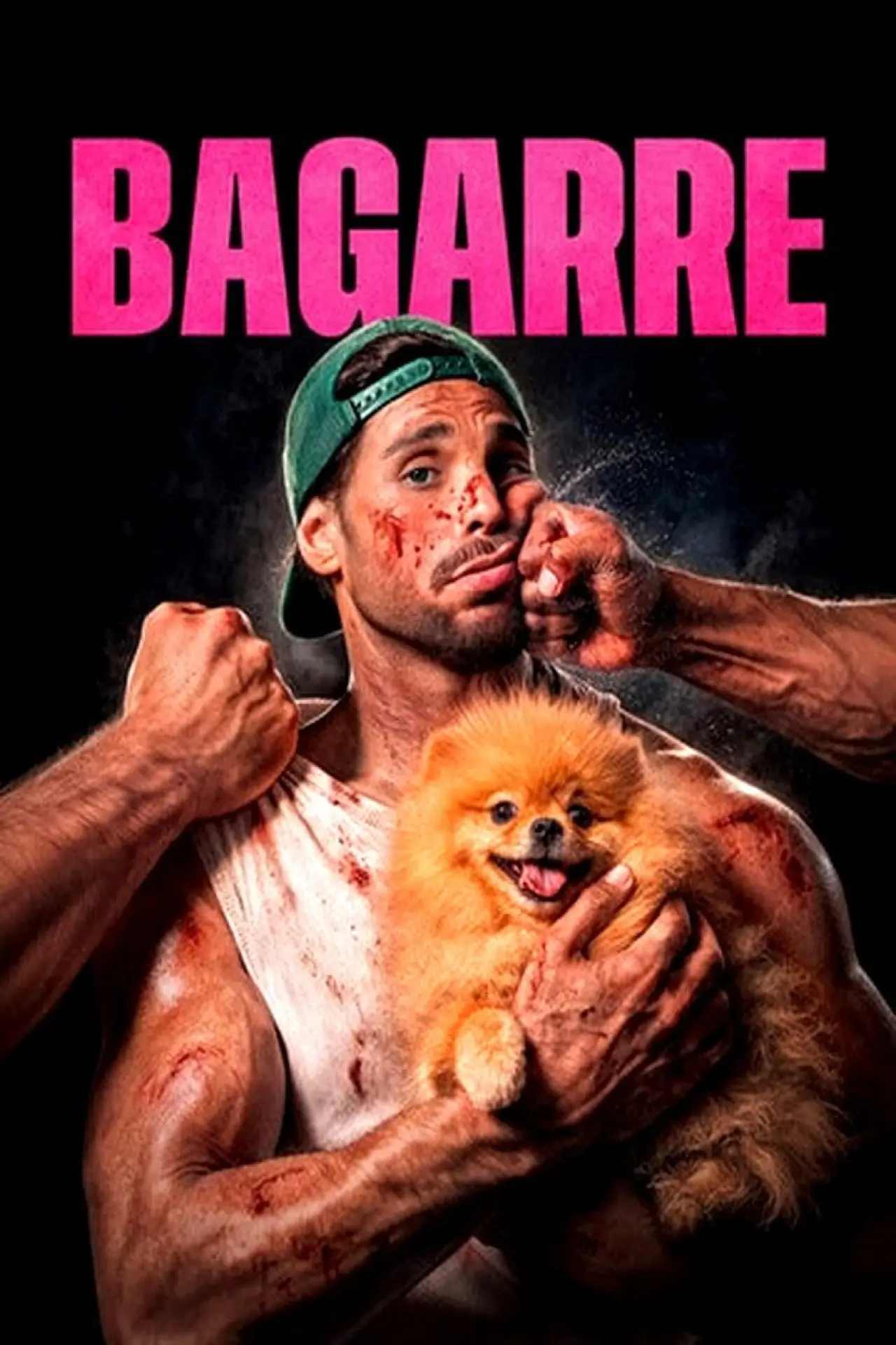 Постер до фільму "Bagarre"