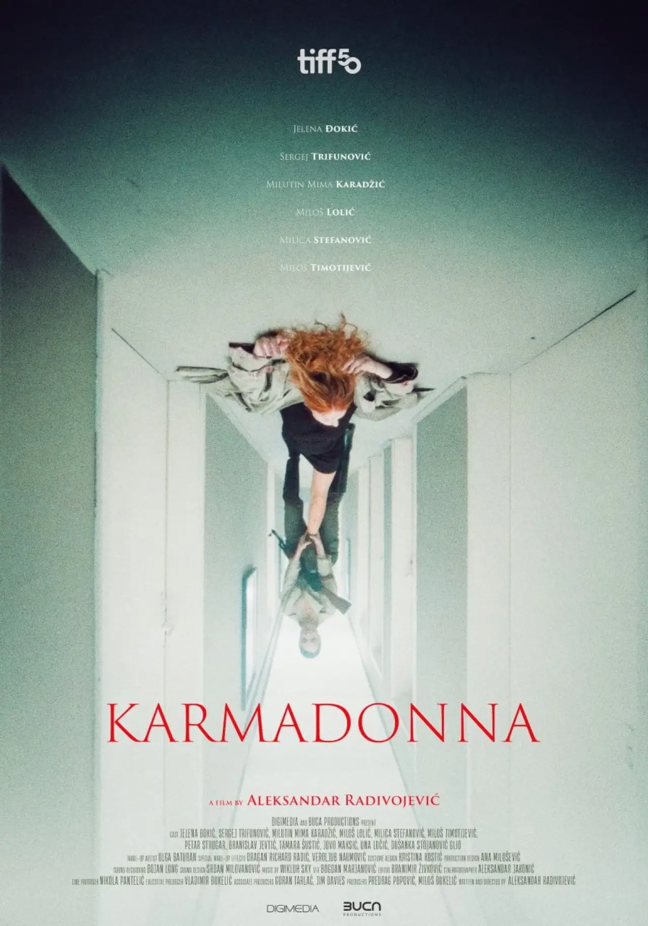 Постер до фільму "Karmadona"